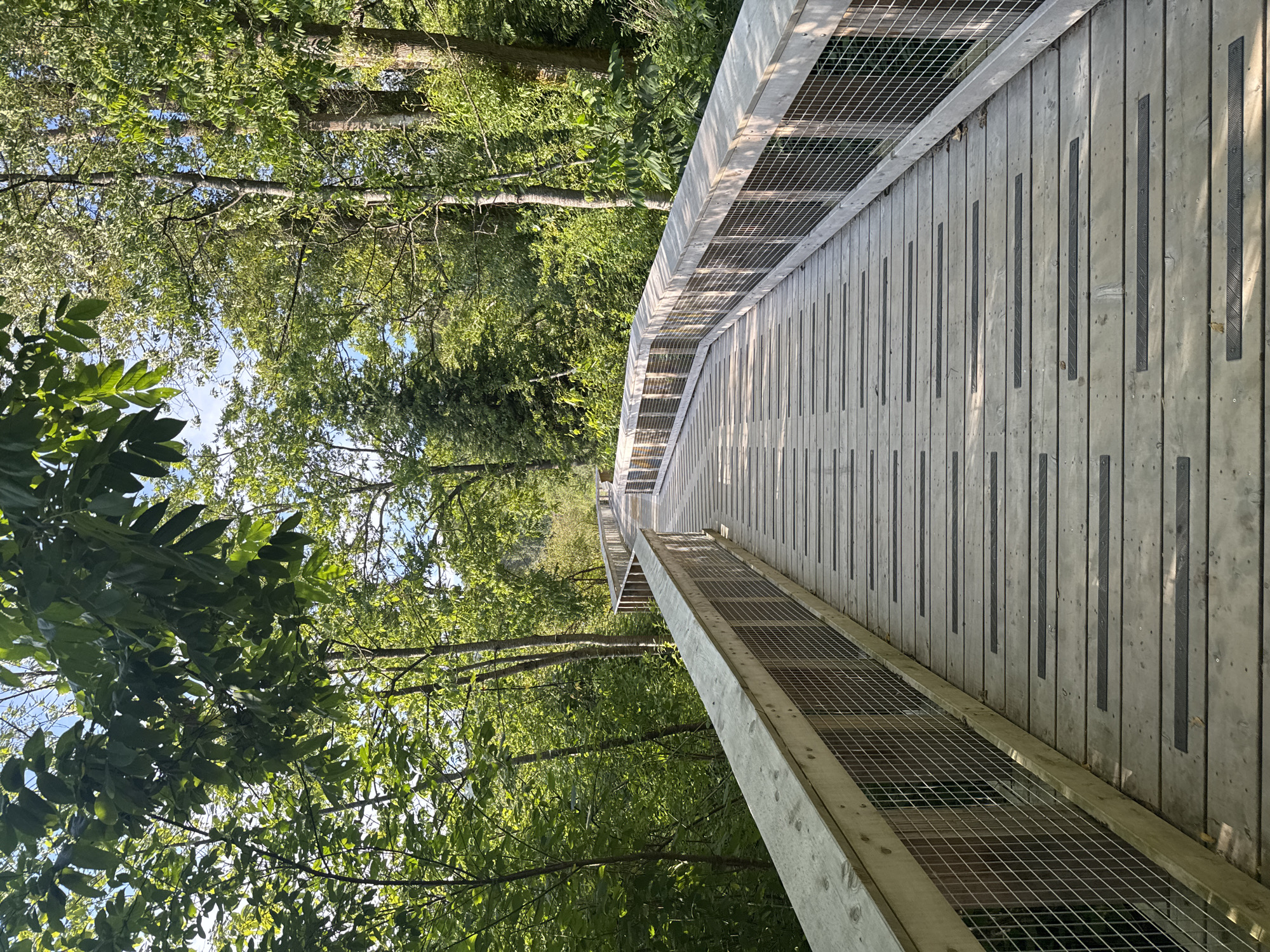 Port Moody boardwalk and tidal shoreline on a summer afternoon