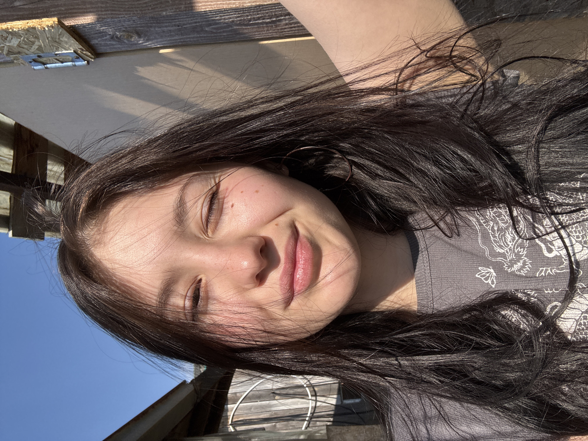 Sunny day moments with cat captured in Foki, Russia