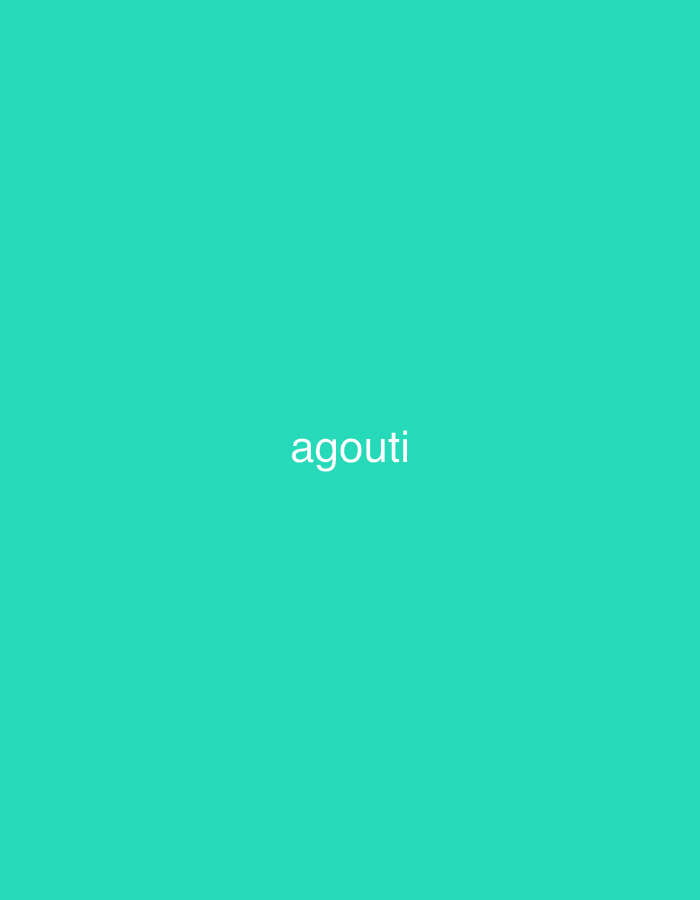Thirty plain color-background text slides from Jalingo, Nigeria