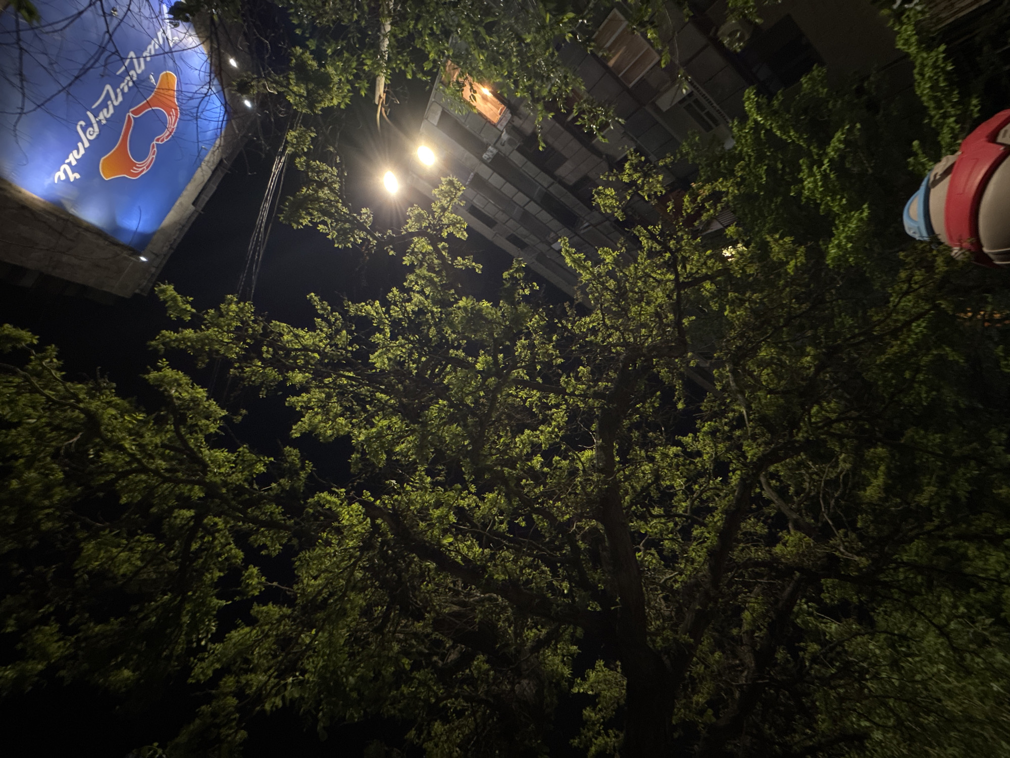 Evening scenes captured in Yerevan showing illuminated tree, playground