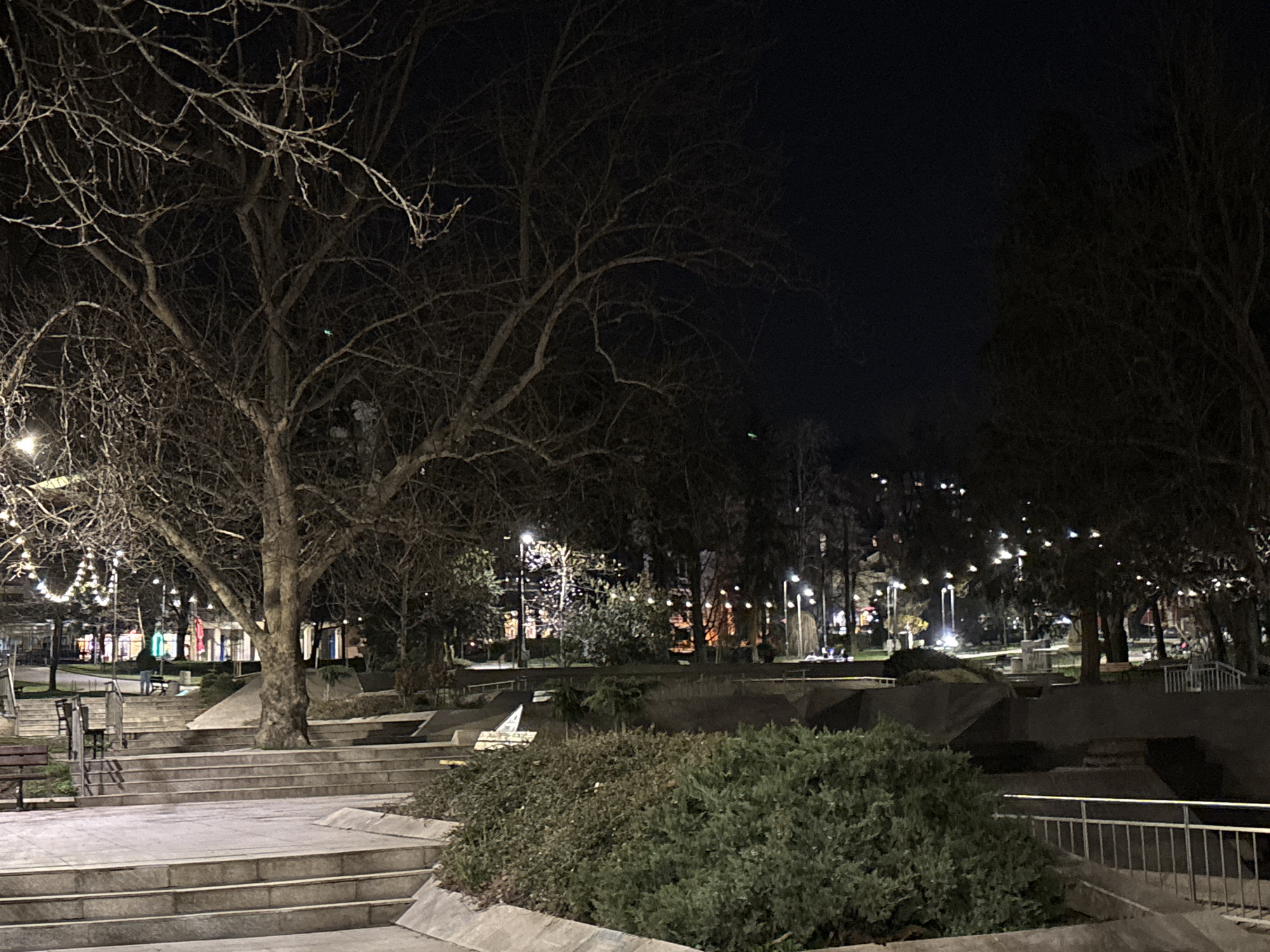 Evening park scene with illuminated trees in Veliko Tarnovo