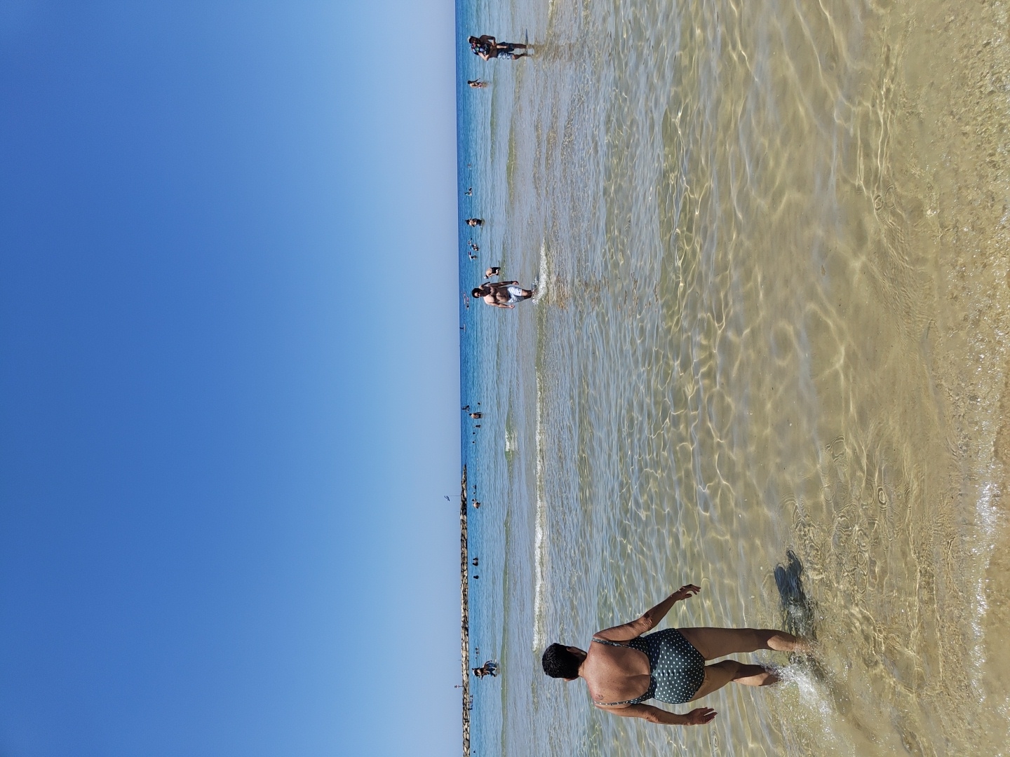 Jellyfish wash ashore on Tel Aviv beach during sunny morning