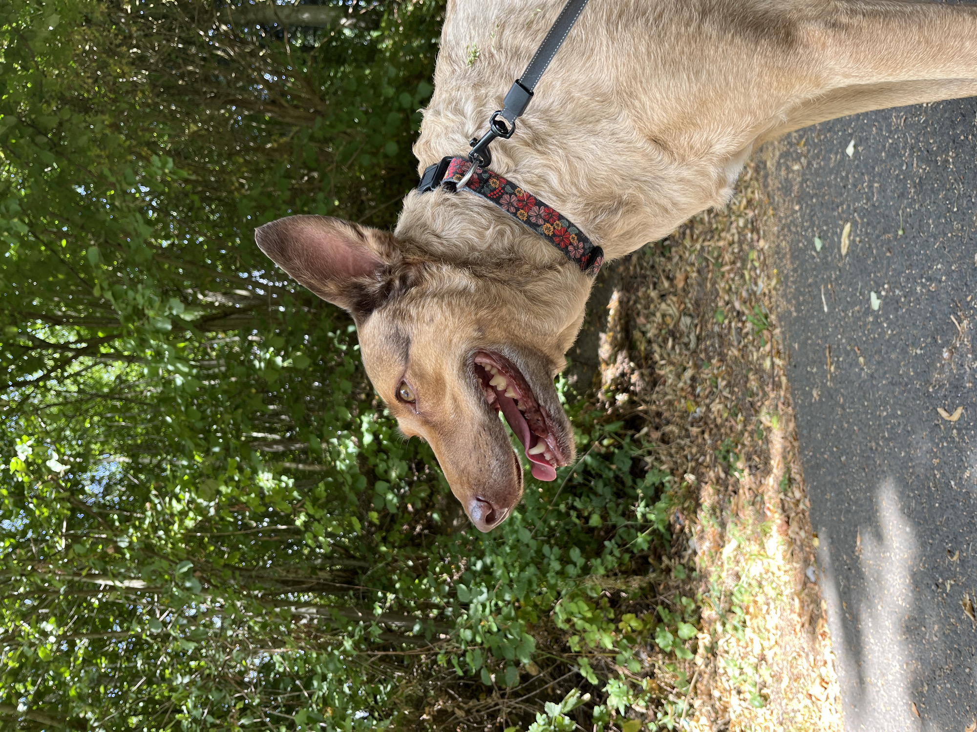 Saint Vith, Belgium