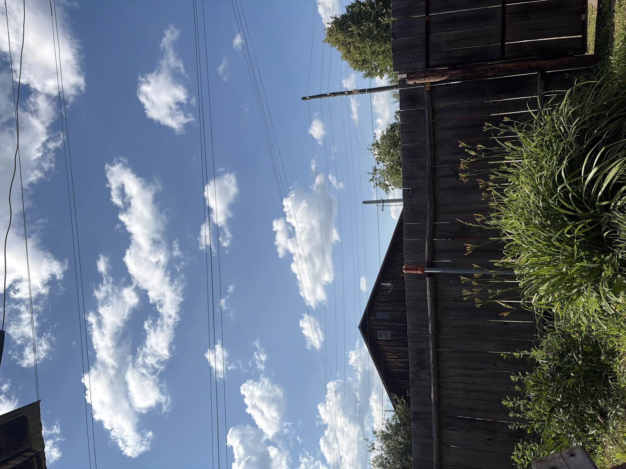 Summer morning snapshots from a rural Russian village