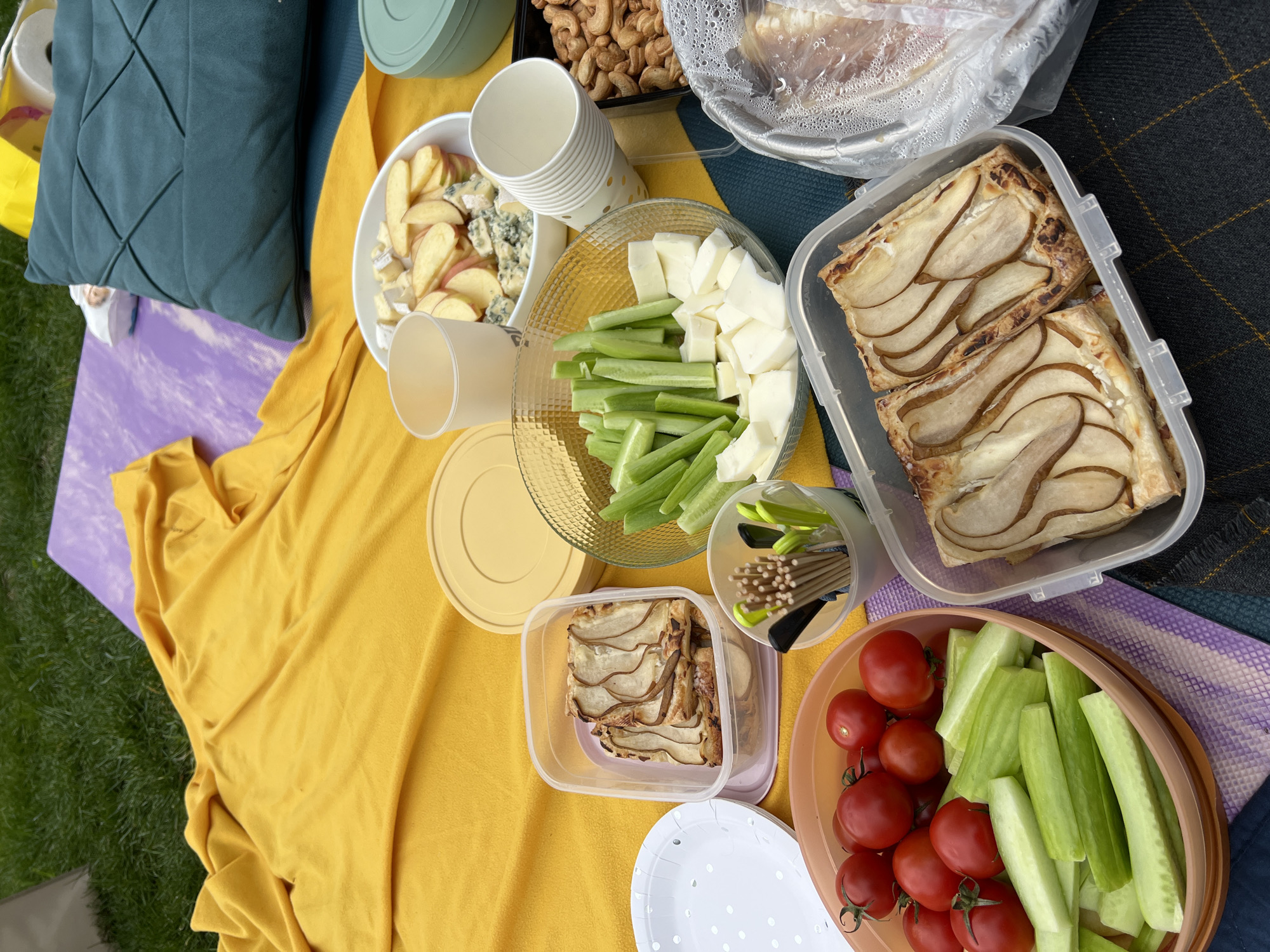 Spring picnic gathering documented in Tbilisi park