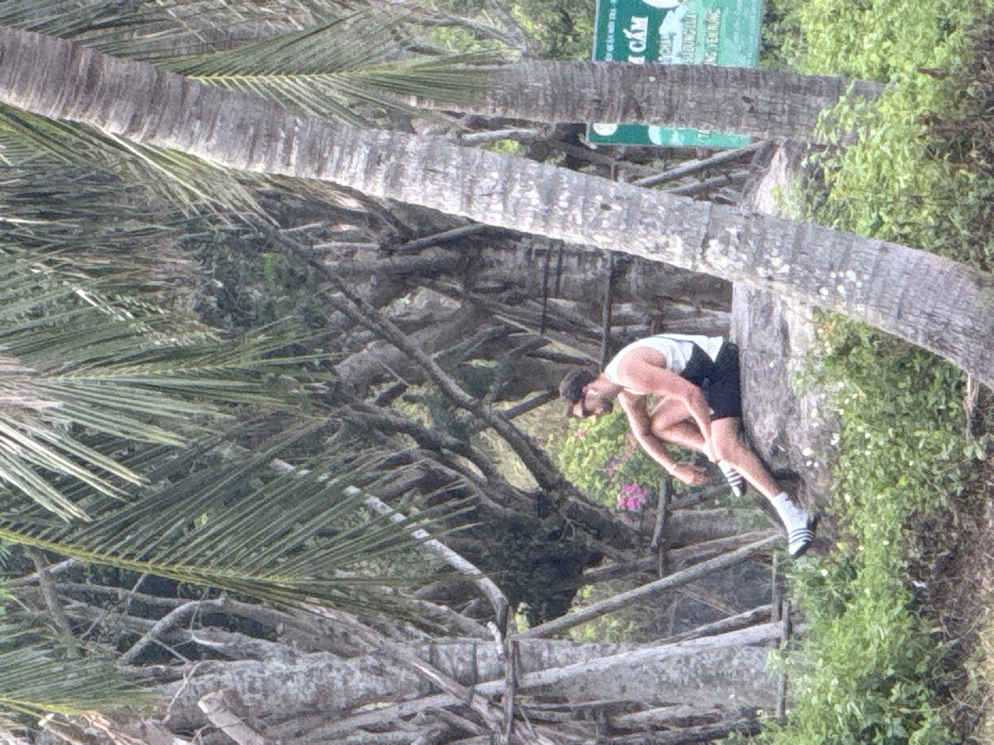 Tourists enjoy outdoor activities in tropical Đà Nẵng setting