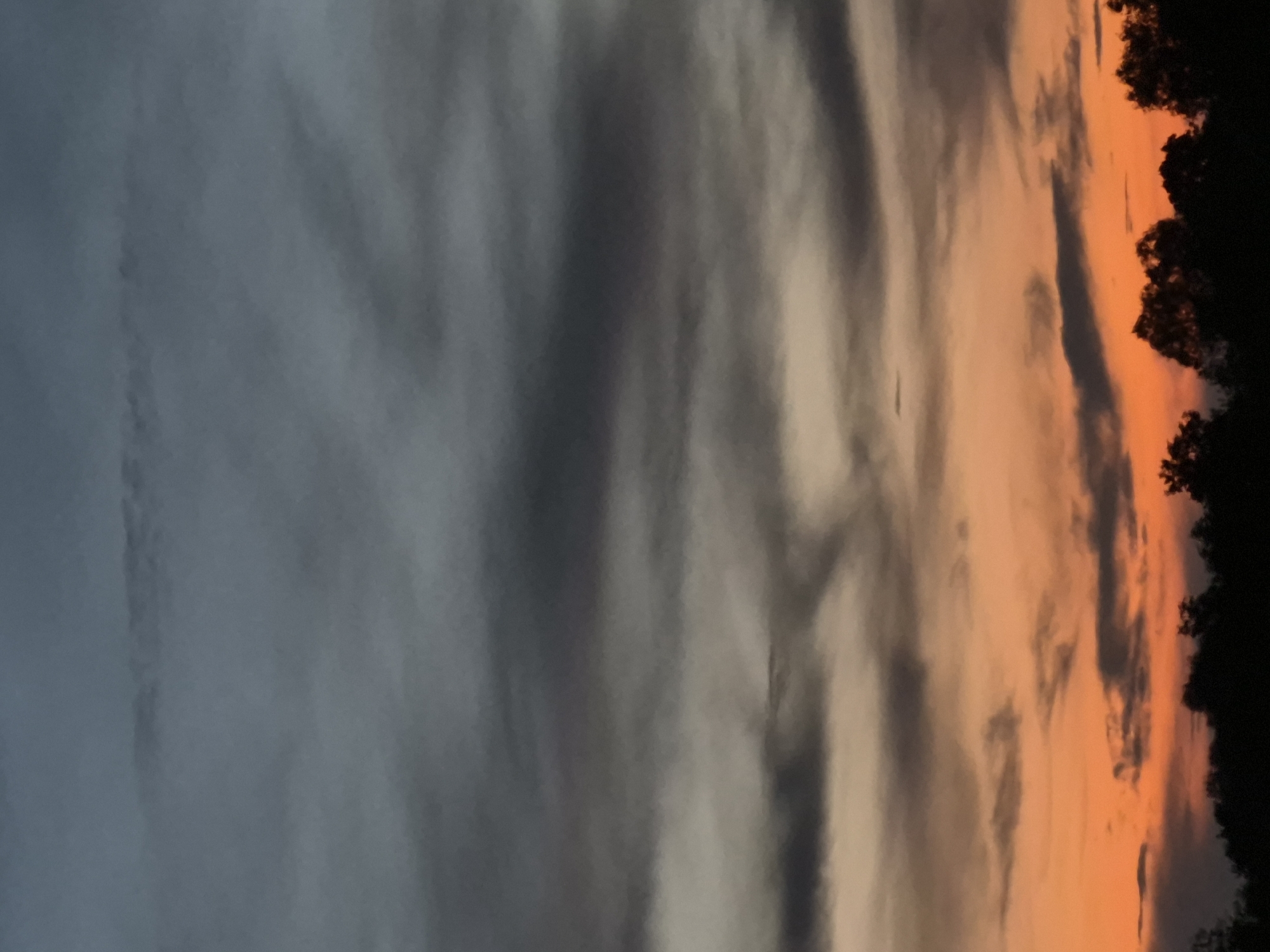 Midsummer sky over Estonian forest, sunset bleeding into dawn