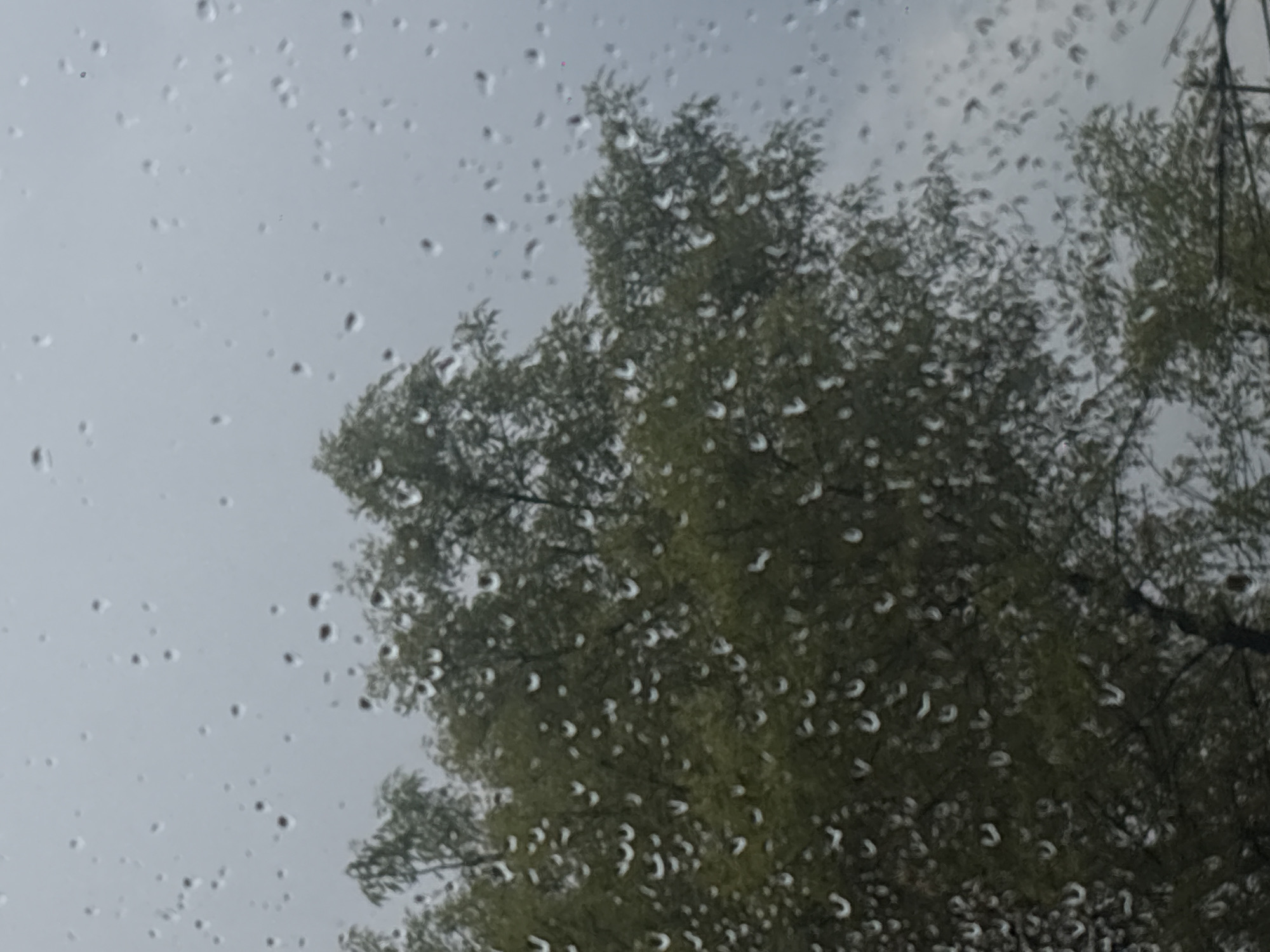 Rain observed through window in Mexico City evening
