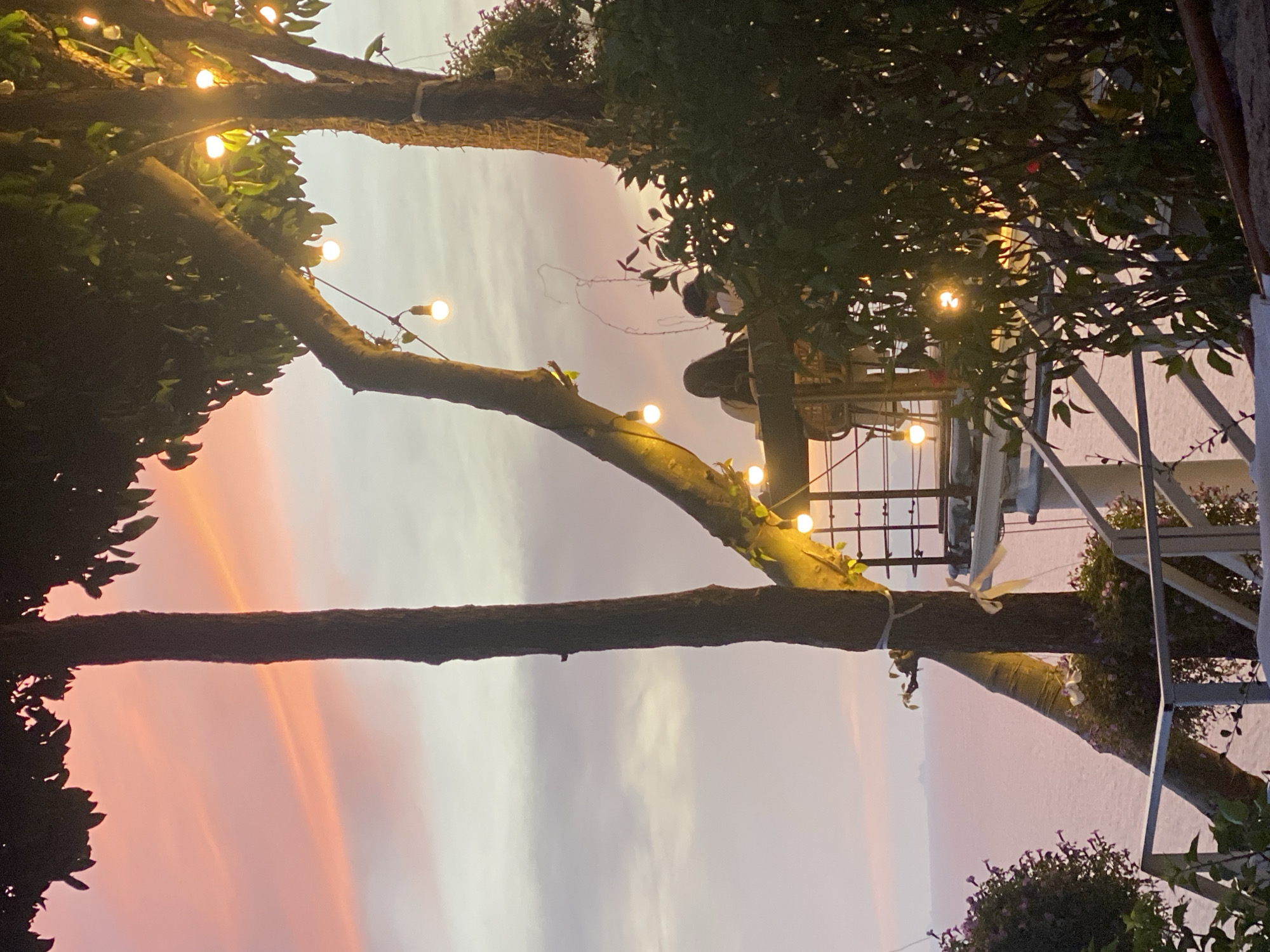 Decorated trees frame sunset sky in Baan Kai, Thailand