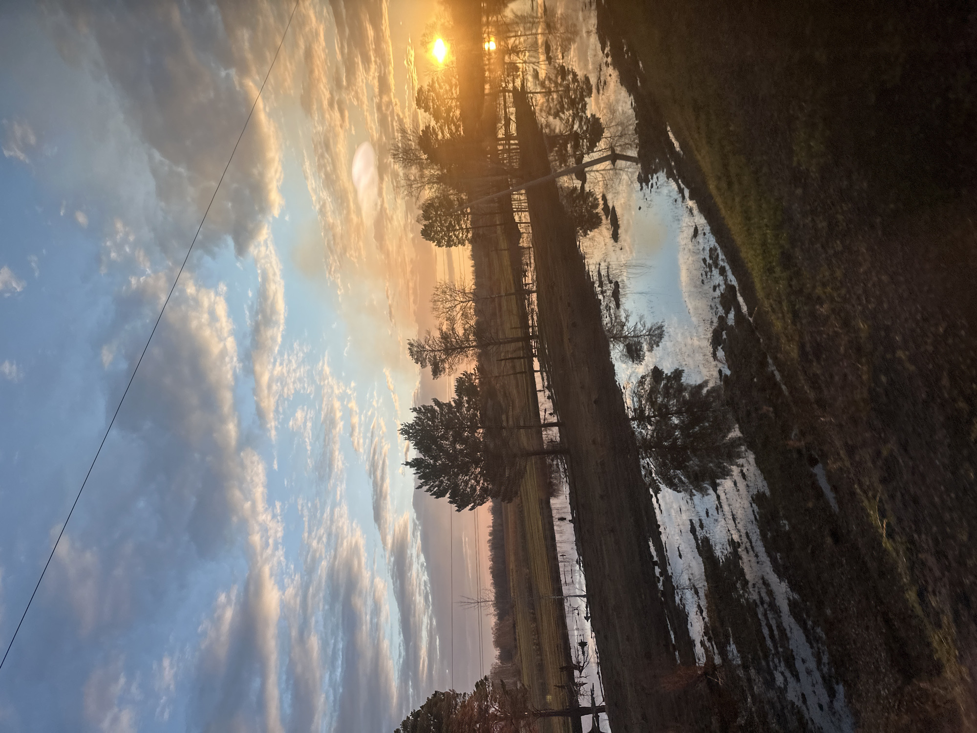 Golden sunrise captured over rural Elovoe, Russia countryside