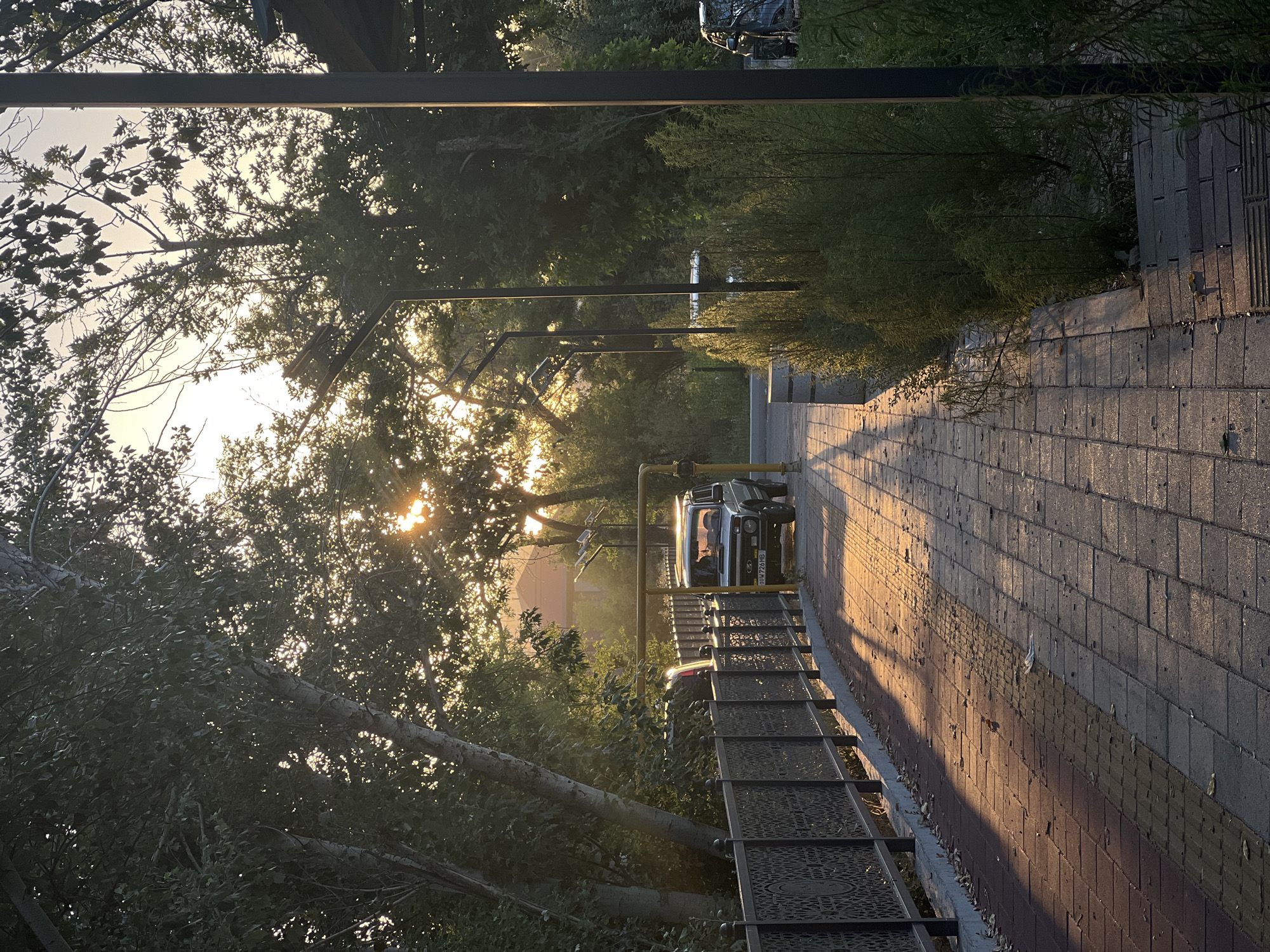 Summer evening stroll through Tashkent's streets and parks