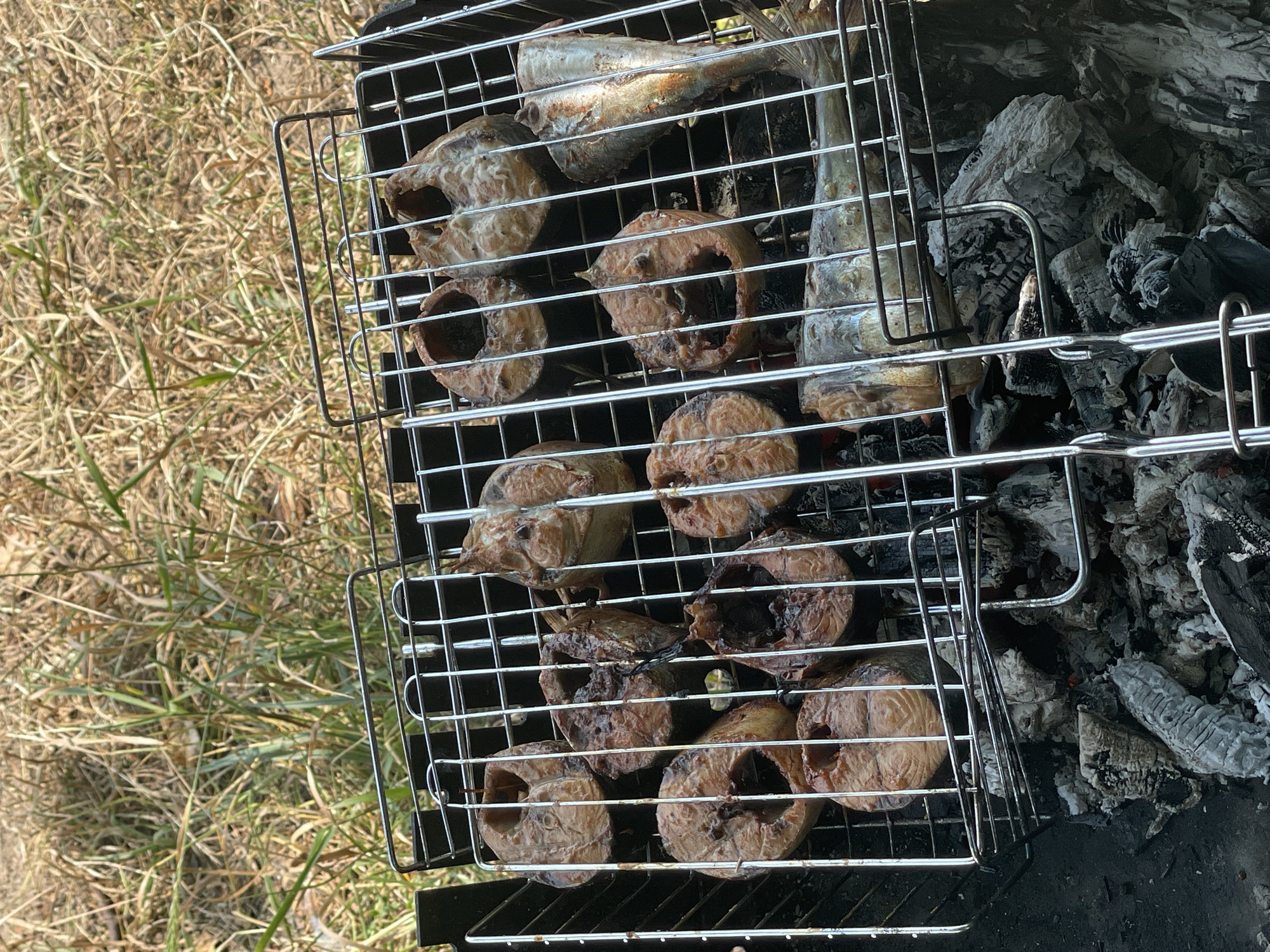 Lakeside cookout in rural Belarus with wildlife all around