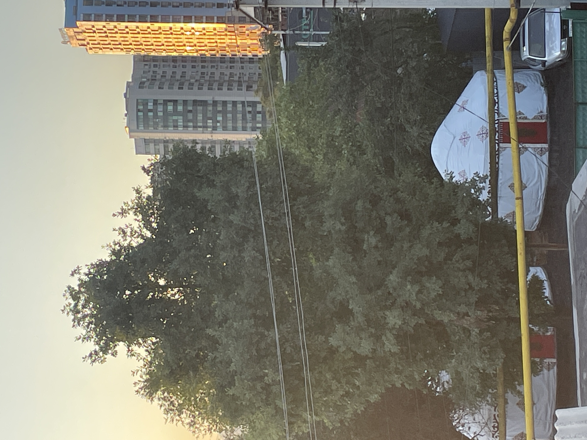Early hours in Almaty: city views, sheep, and a aced tour guide exam
