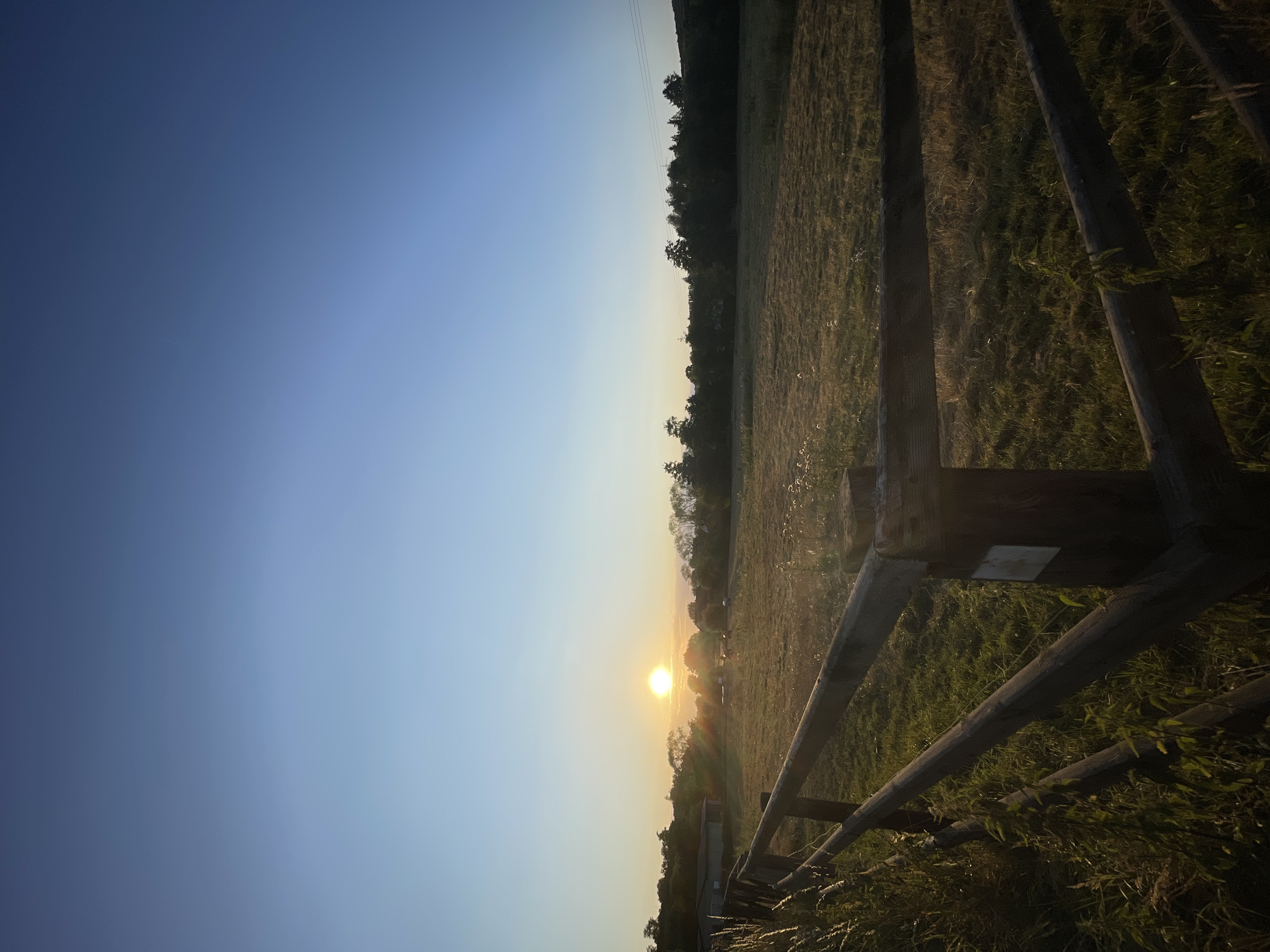 Golden hour along a wooden fence in rural Hesse