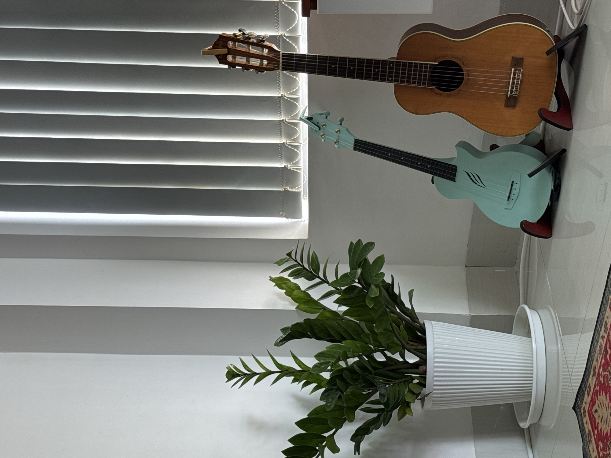 Indoor scene with plant, instruments, lucky cat figurine observed Vietnam