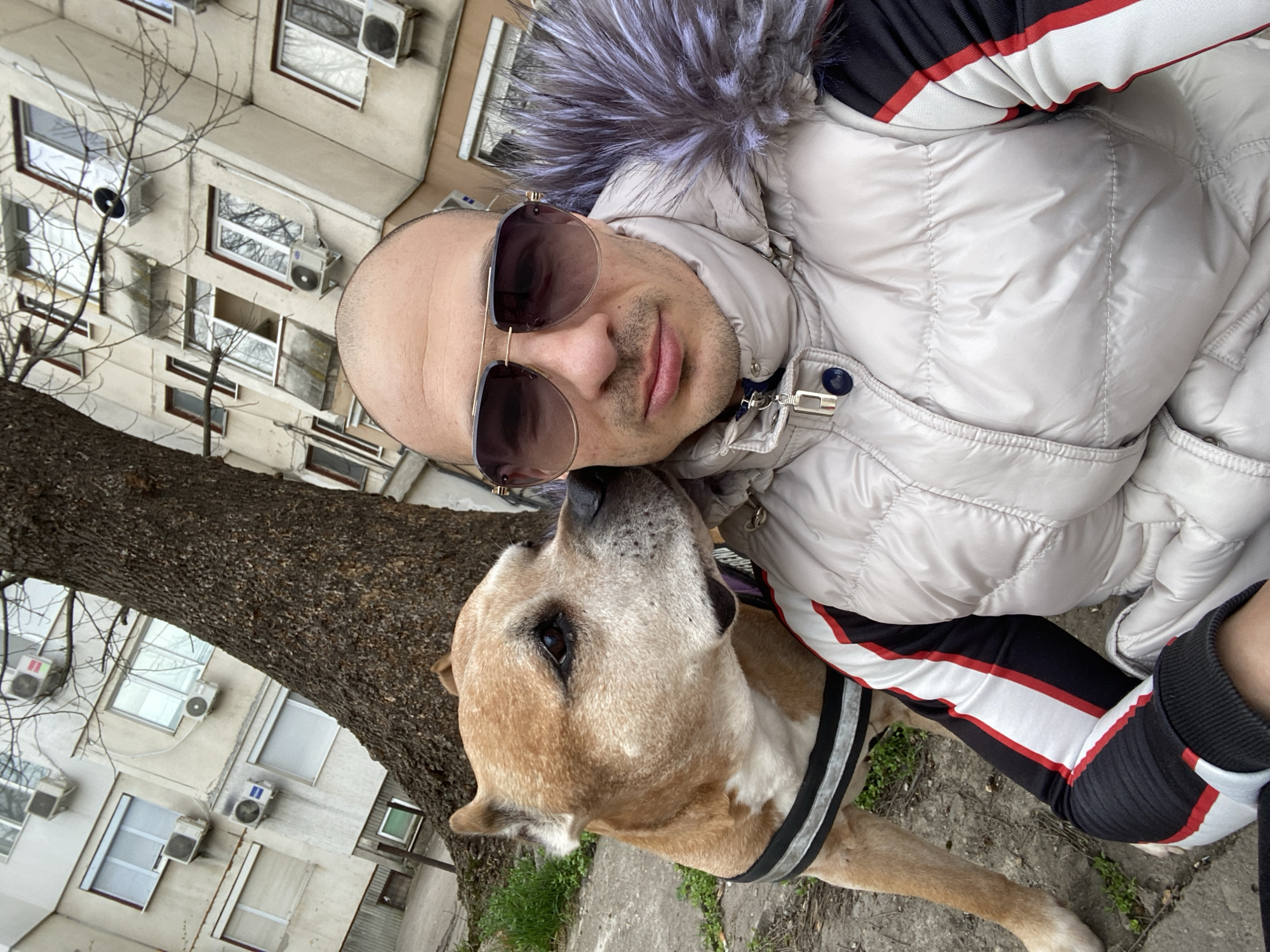 Daily life moments documented across Pleven, Bulgaria
