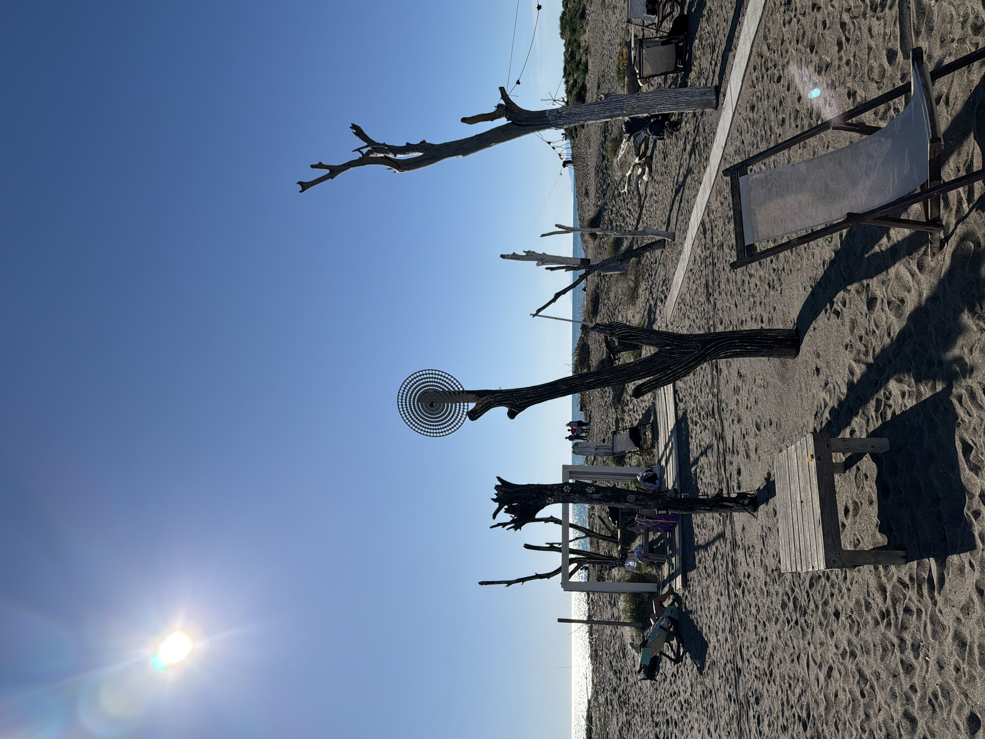 Driftwood art installations spotted on Tarquinia beach under clear skies