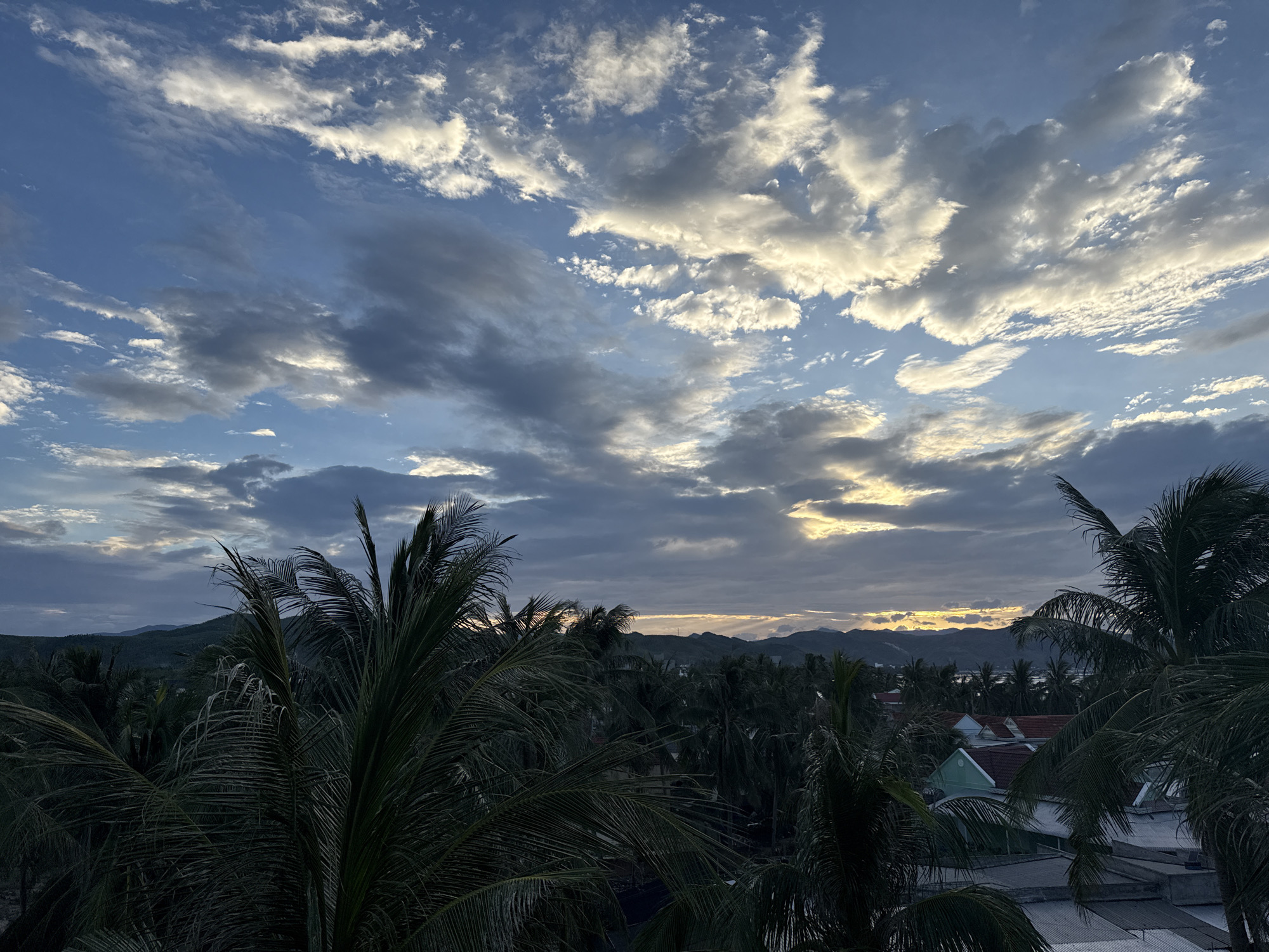 Tropical coastline at dusk, palms and stormy skies