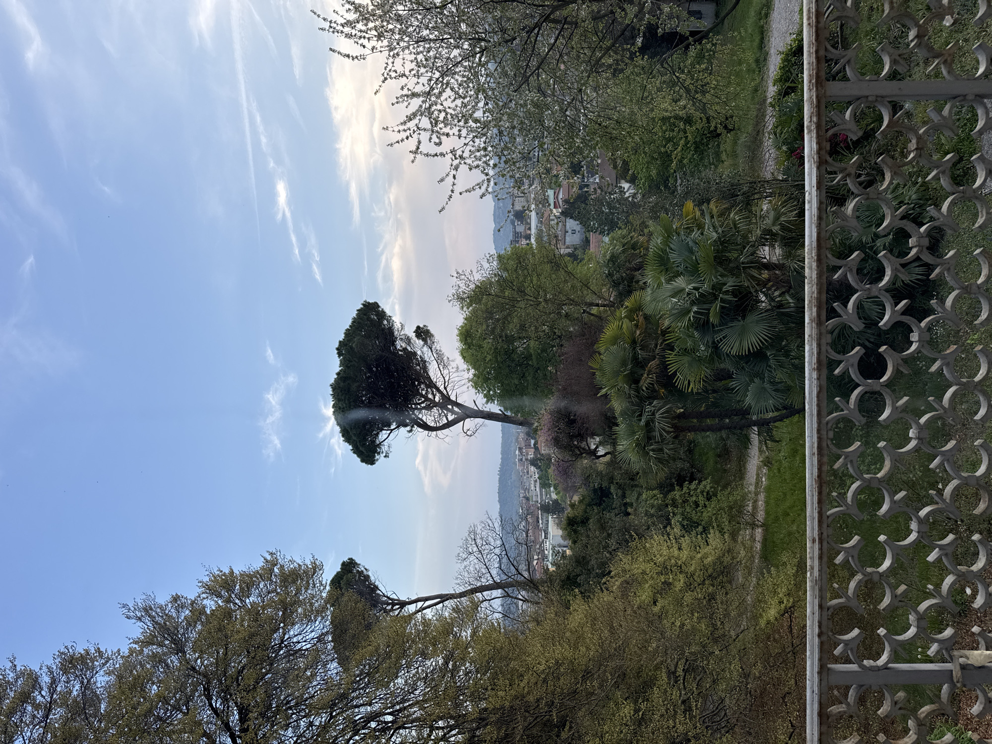 Man photographed with spring catkins in Erba, Italy