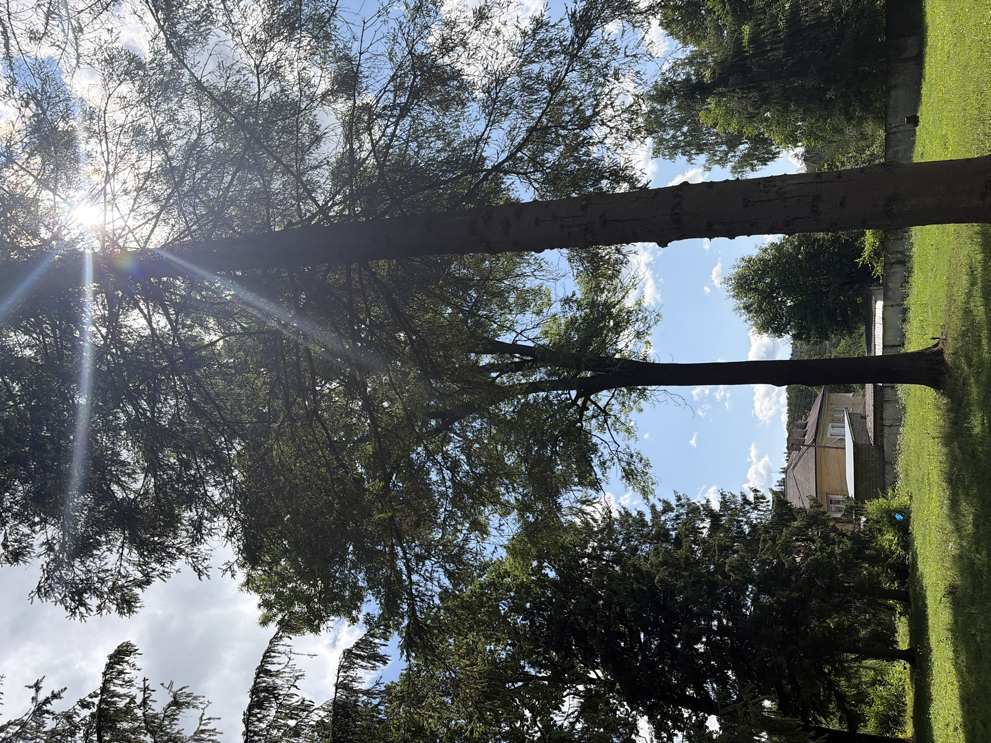 Exploring the grounds of a medical center campus on a sunny day