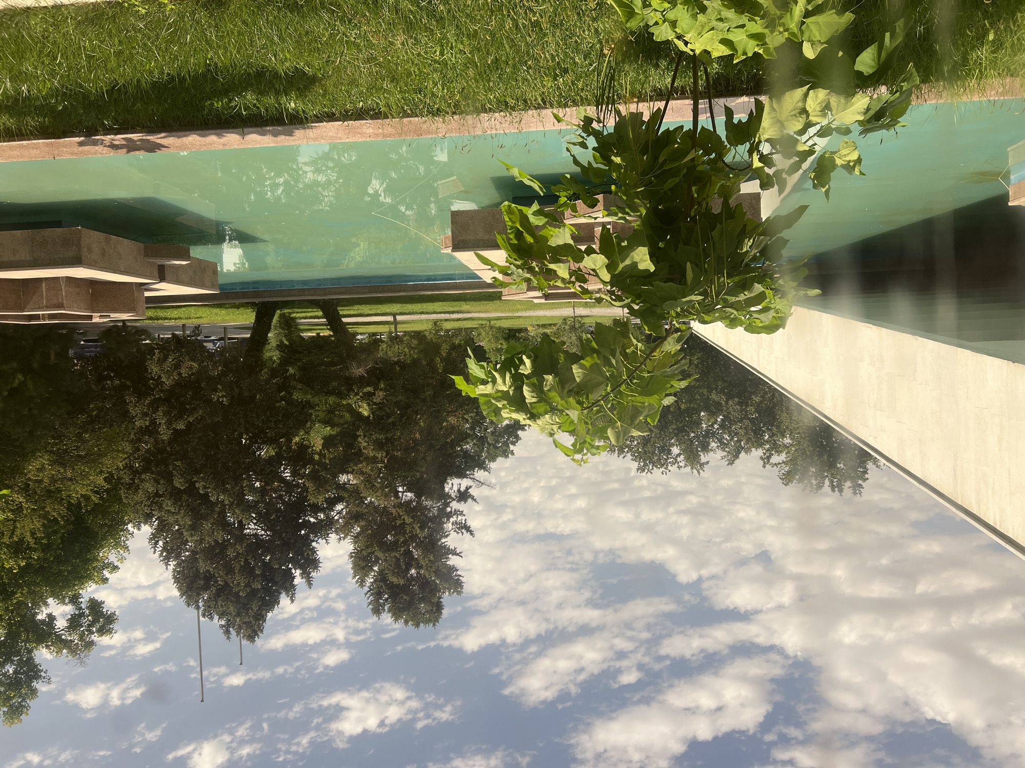 A quiet mix of plants, small objects, and outdoor scenes