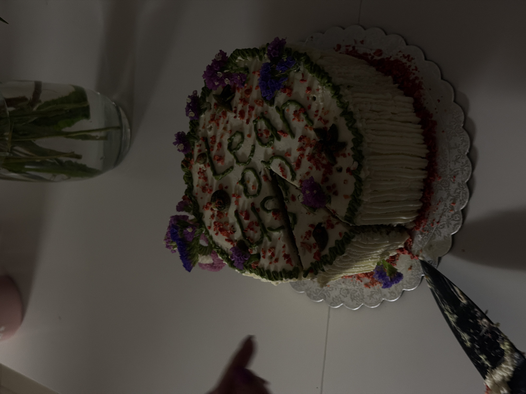 21st birthday celebrated at home in Vračar, Belgrade