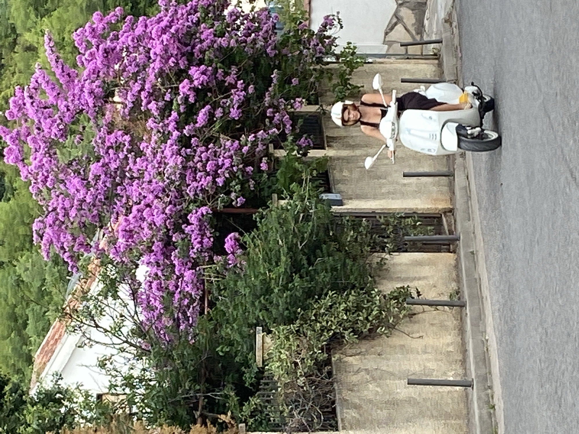 A regular day around Budva — streets, gym, balcony, food.