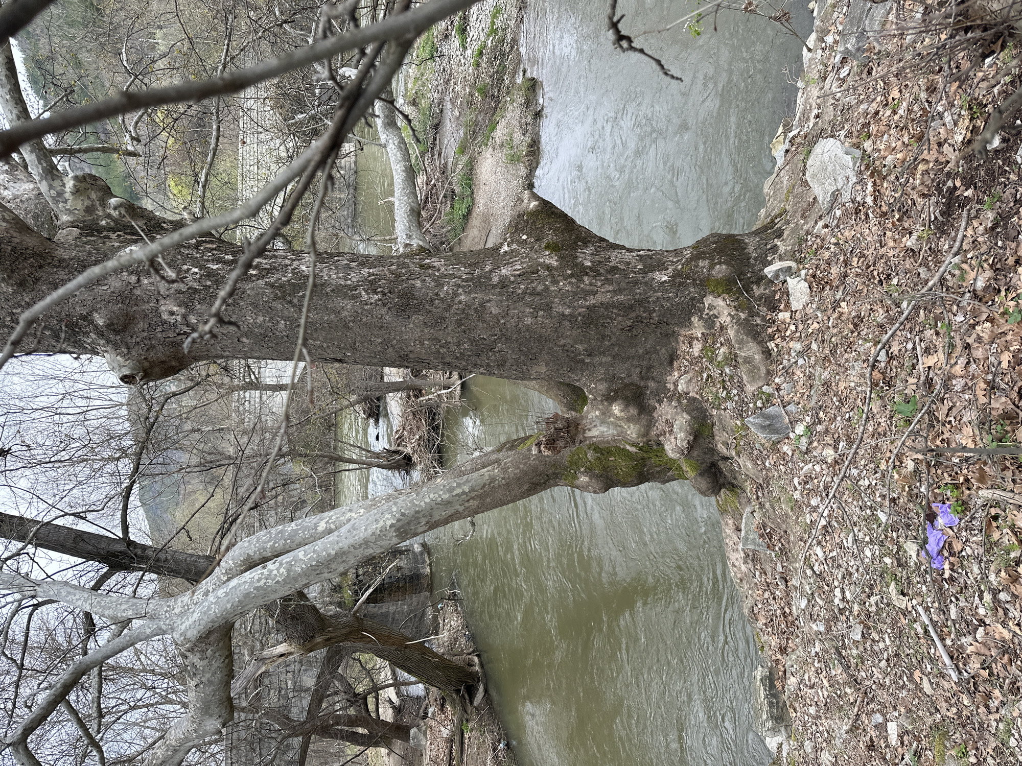 Man exercises on bridge, scenic river views documented in Bulgaria