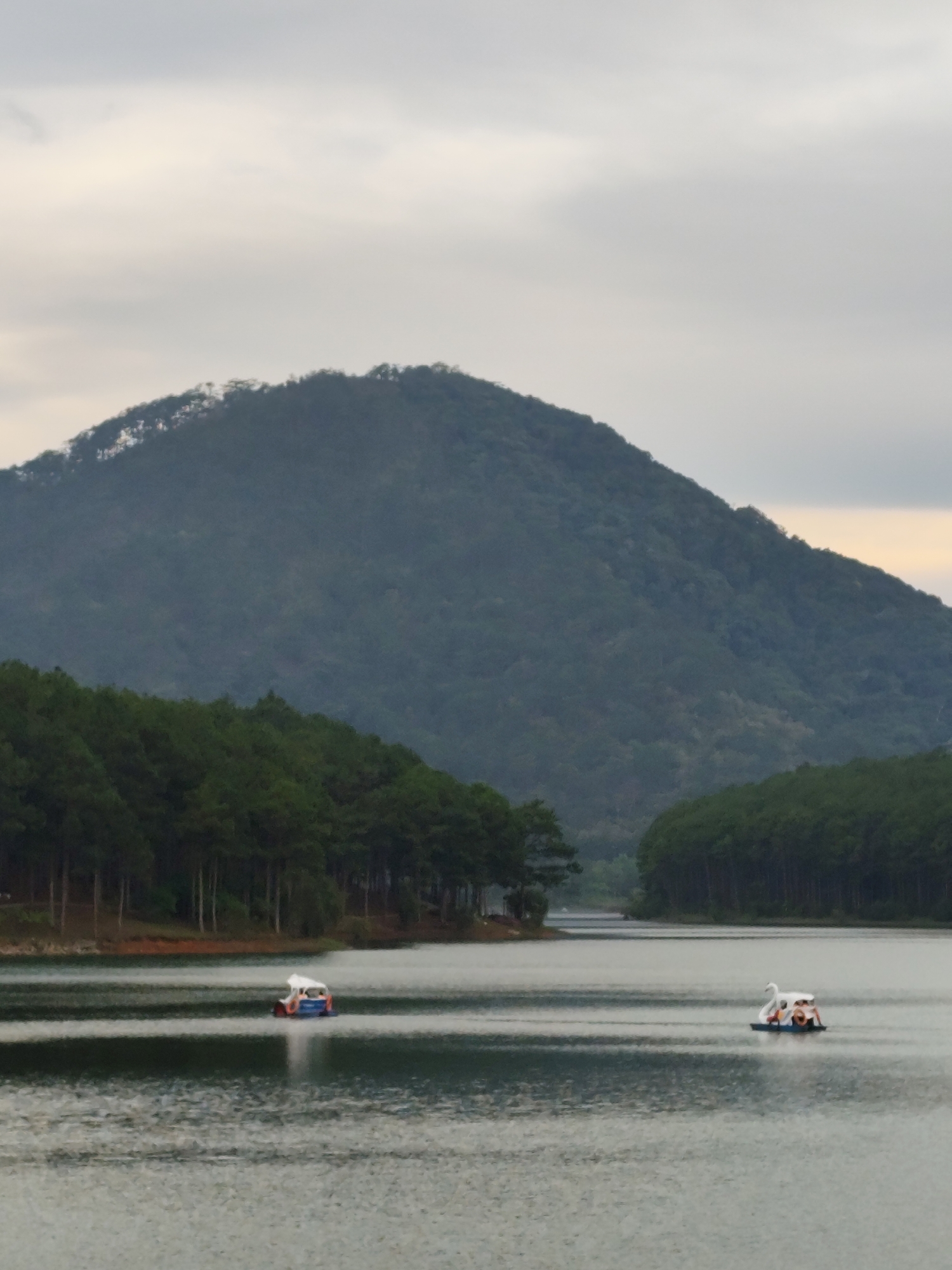 Swan pedal boats spotted at Da Lat lake under cloudy skies