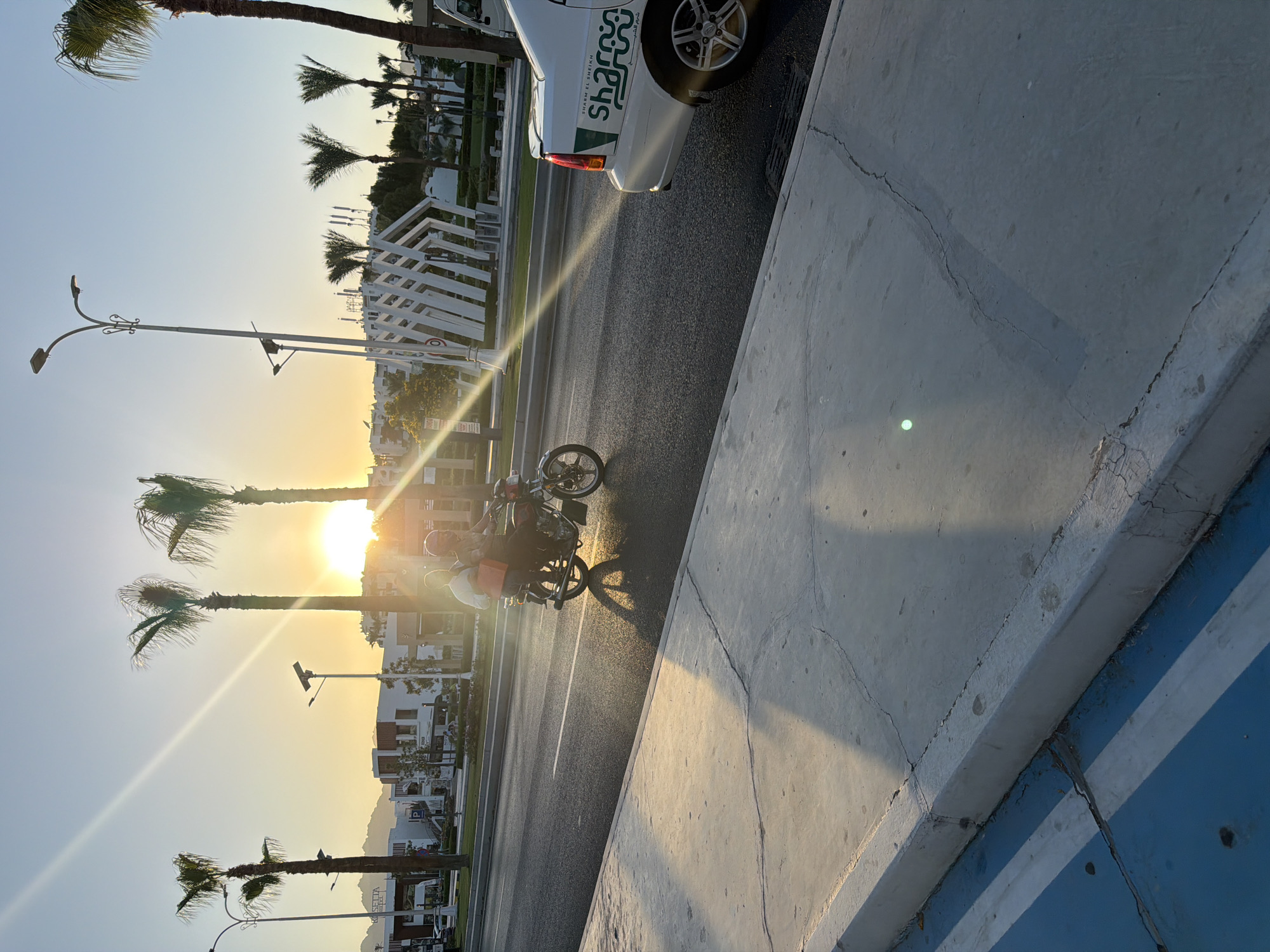 Sunset hour along Sharm El Sheikh's palm-lined resort strip