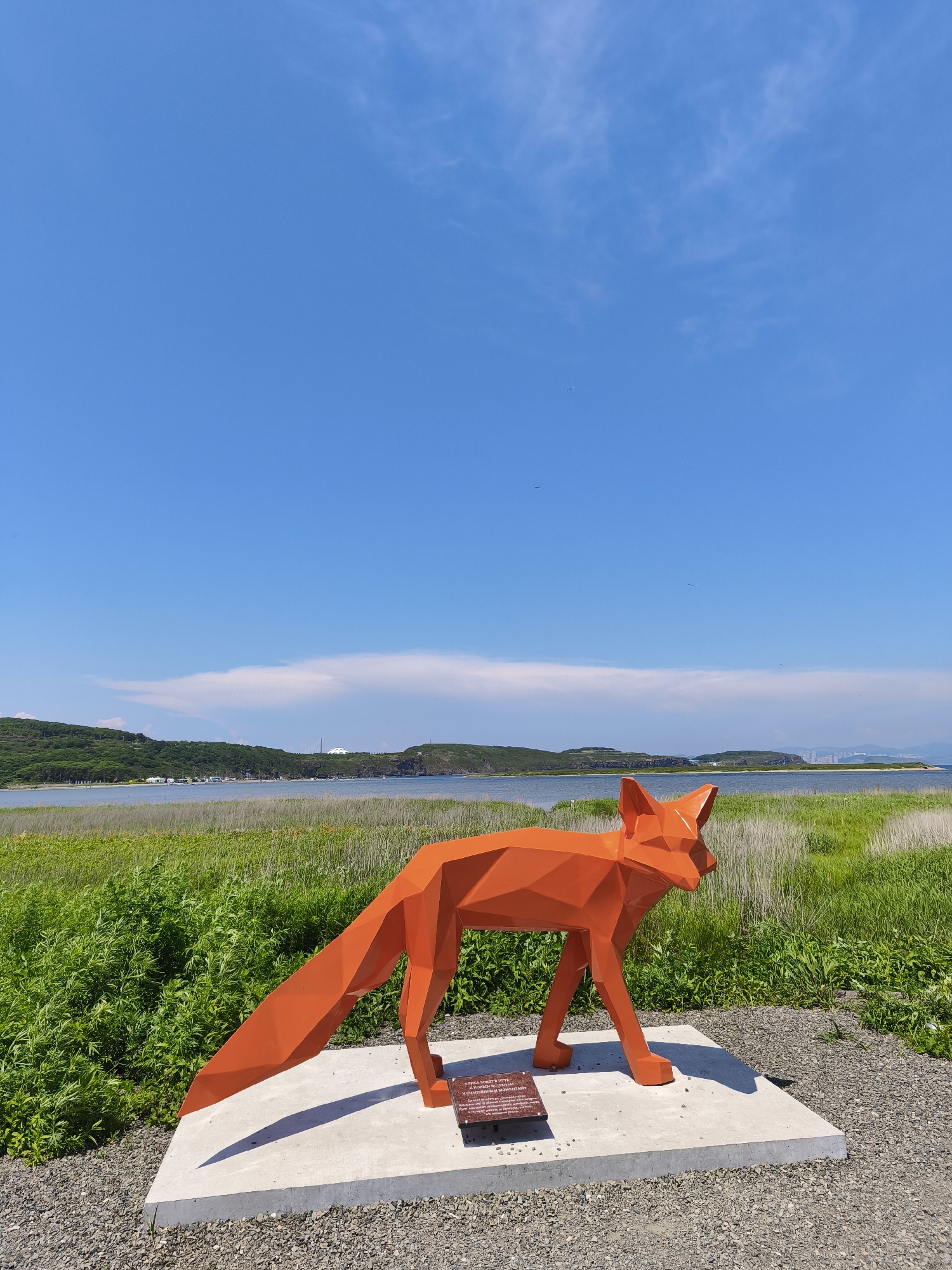 Russky Island in bloom: fox sculpture, coastal meadows, wild roses