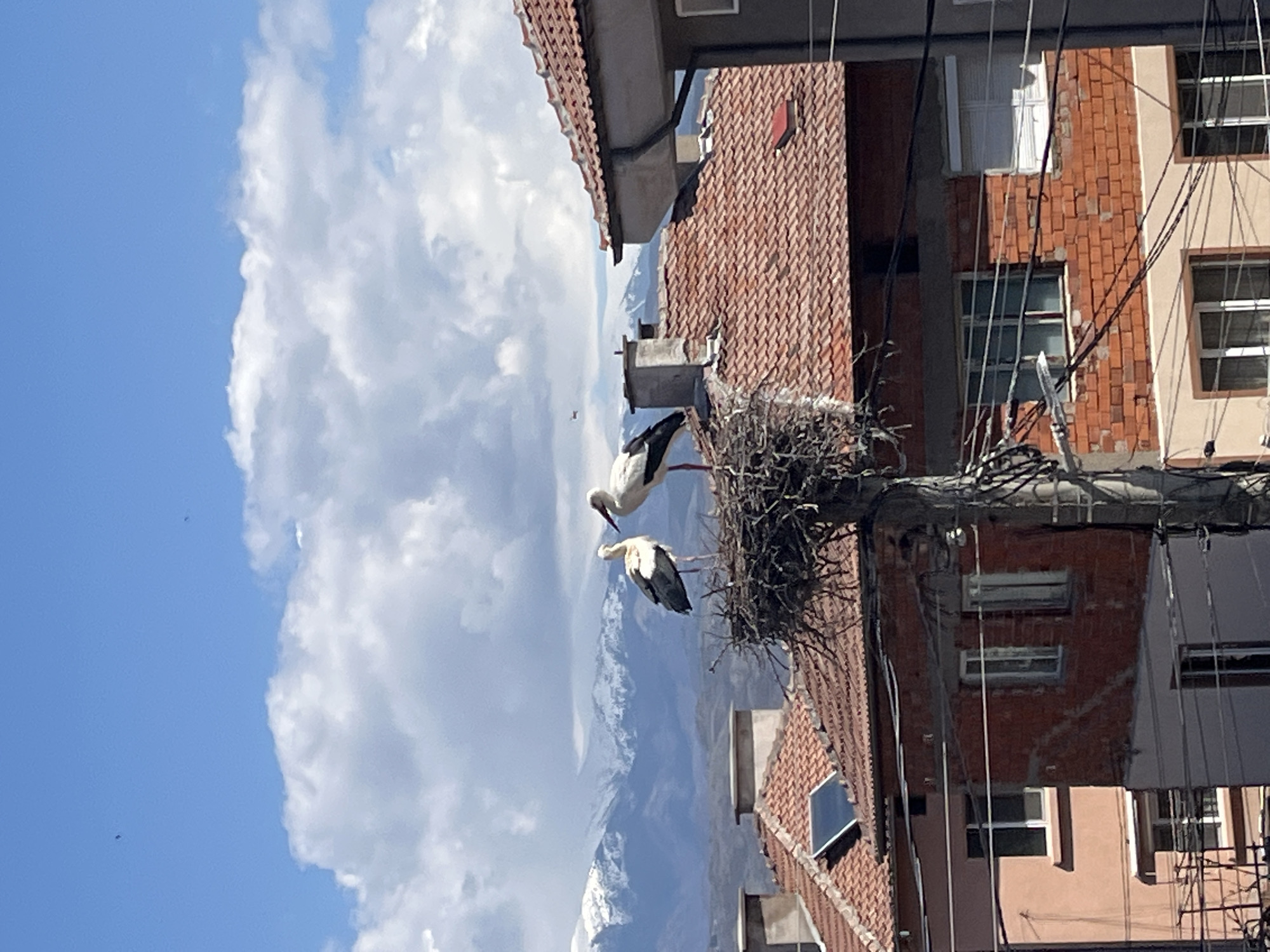 User documents platform payment issues in Bulgarian village