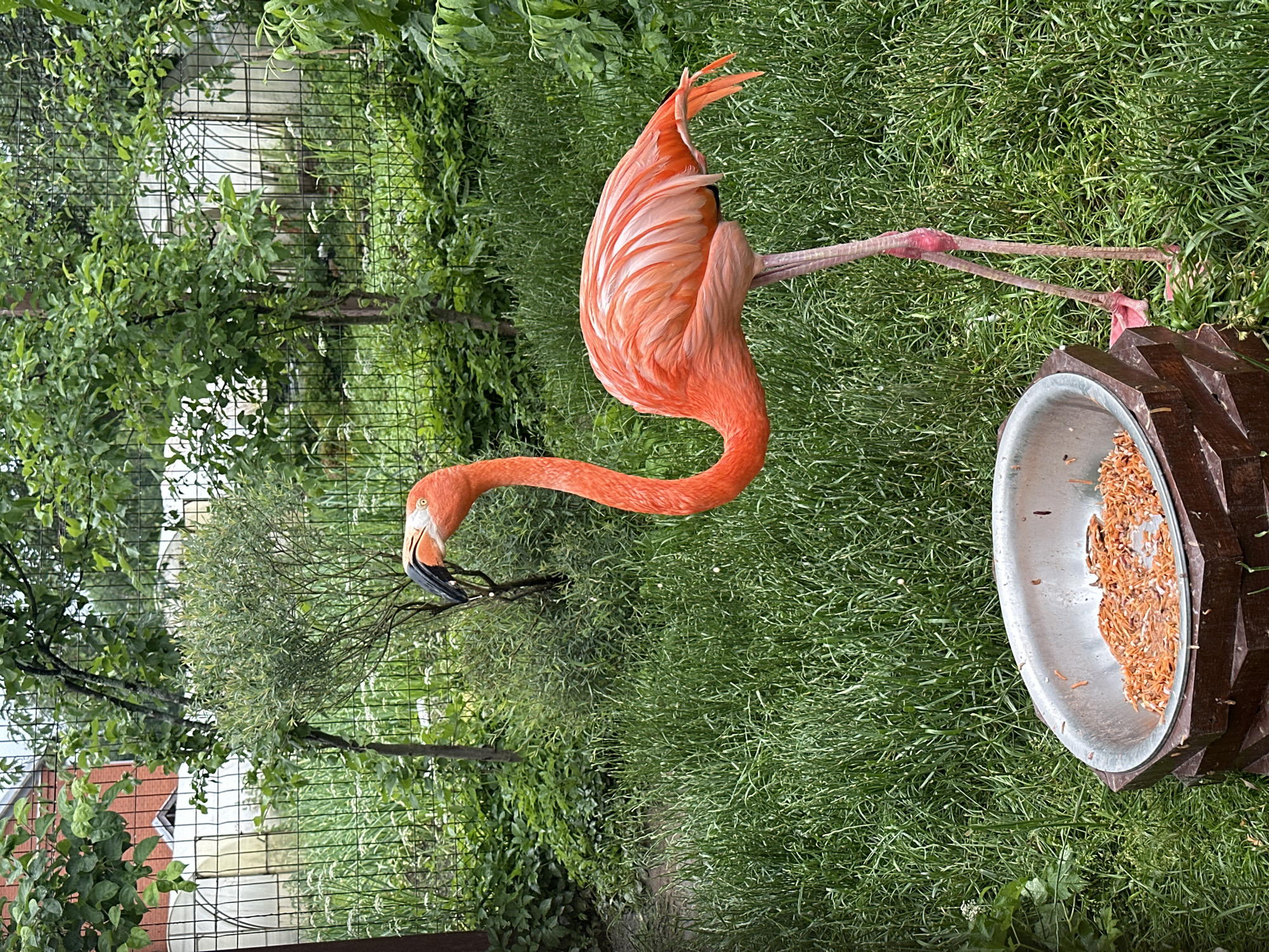 Zoo visitors document animals and exhibits in Izhevsk