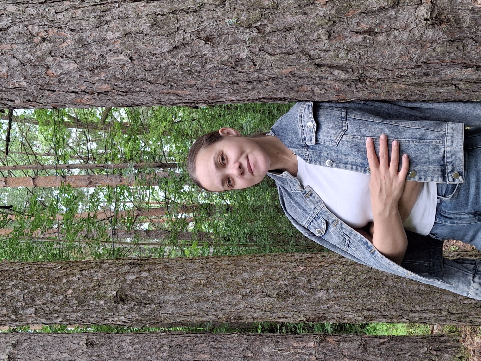 Afternoon walk through a pine forest in Chaikovsky