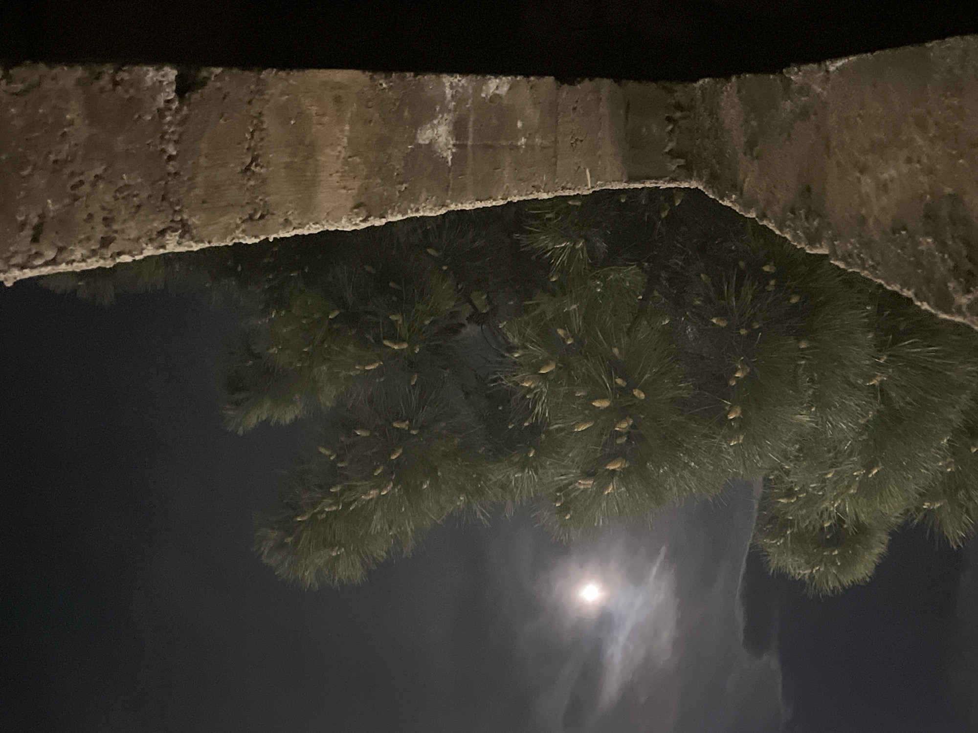 Quiet nighttime scene captured in Budva, Montenegro