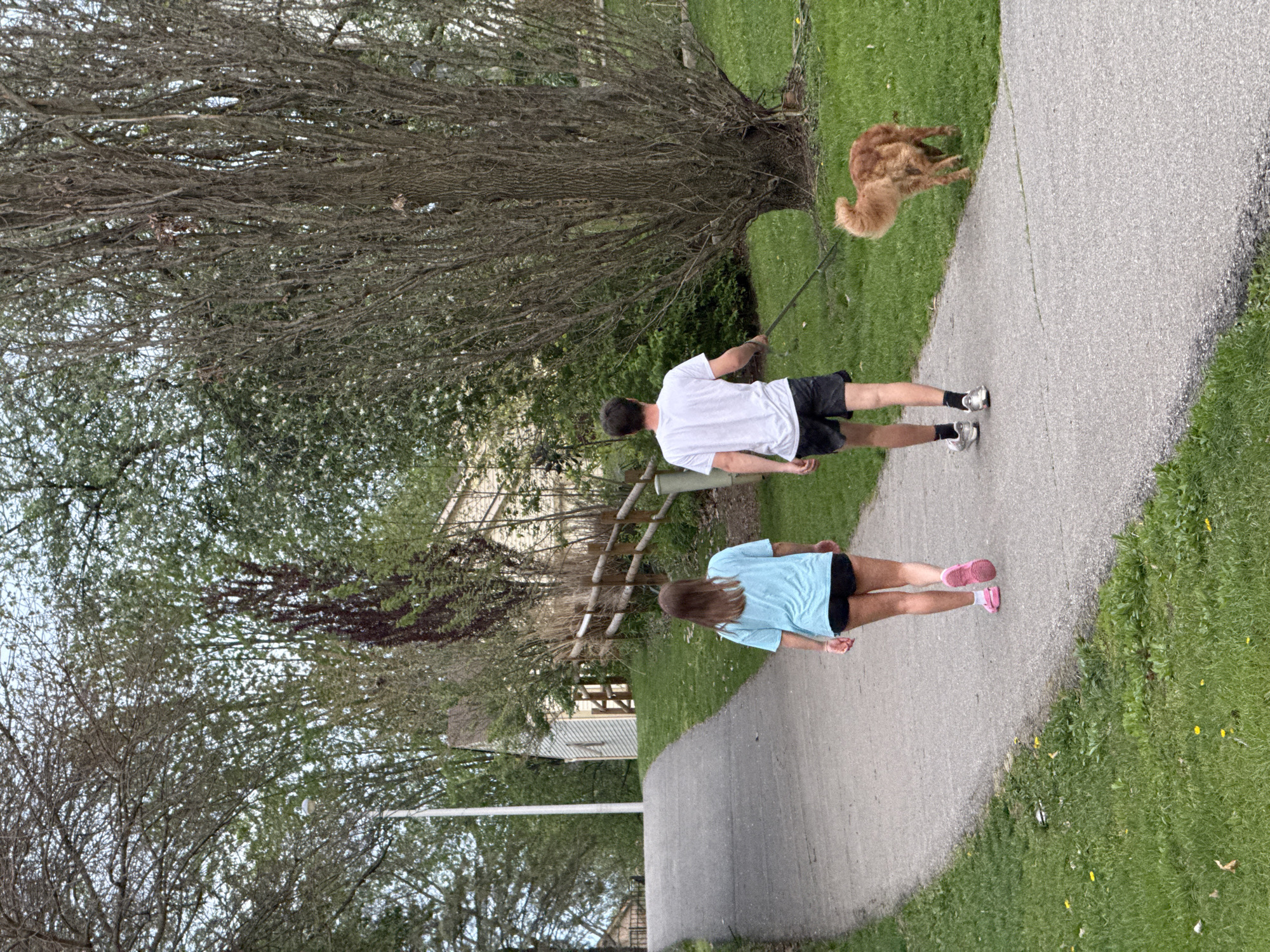 Evening park visit documented in Grove City, Ohio