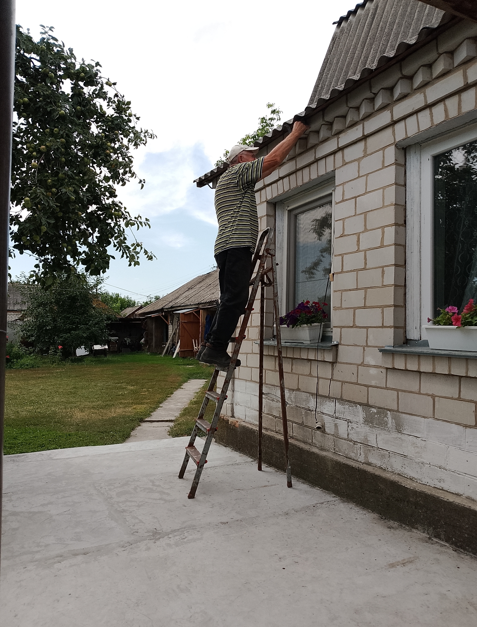 Hamarnia, Ukraine