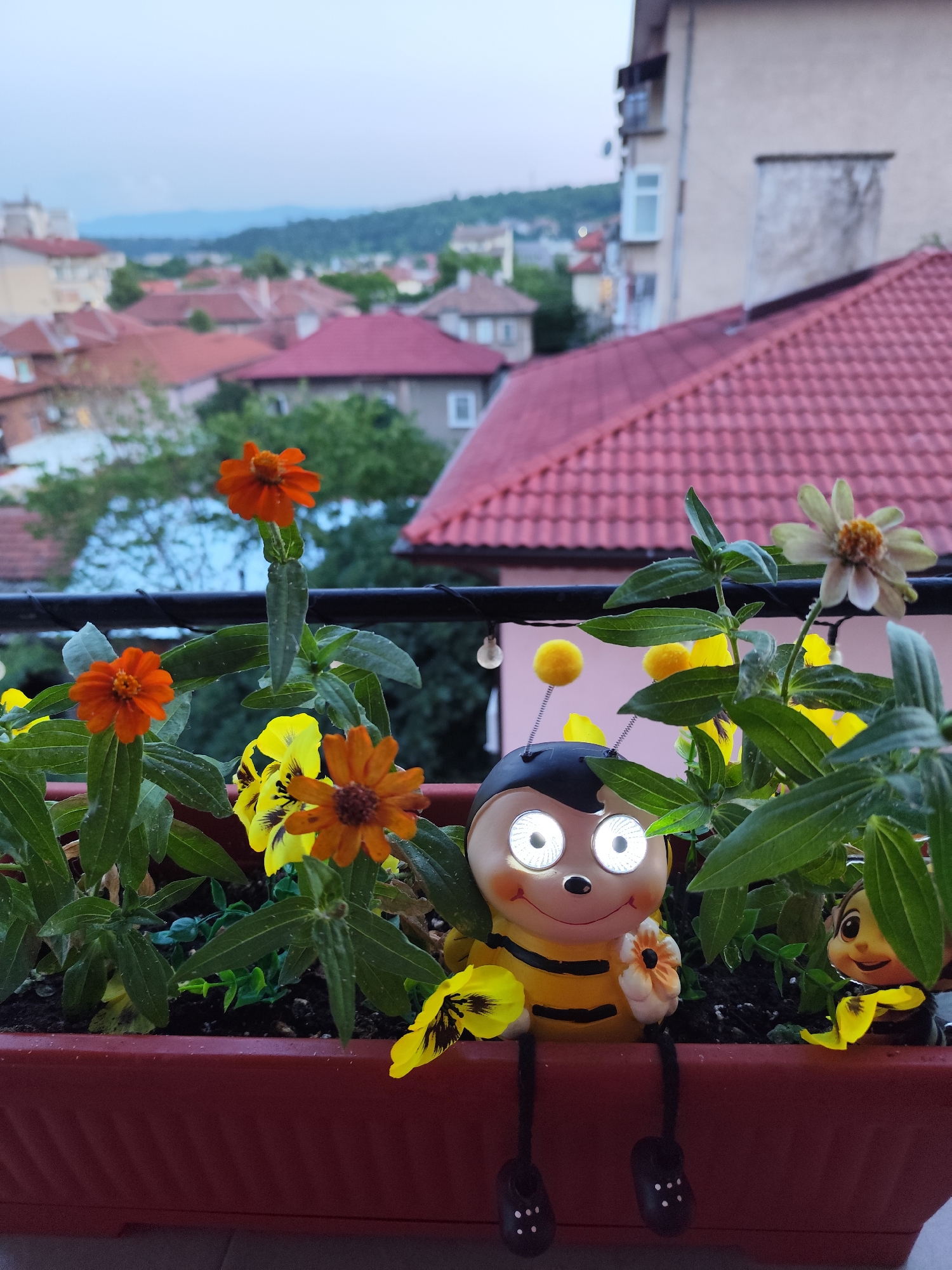 Balcony flowers, rooftop views, and a shrimp tray in Montana, Bulgaria