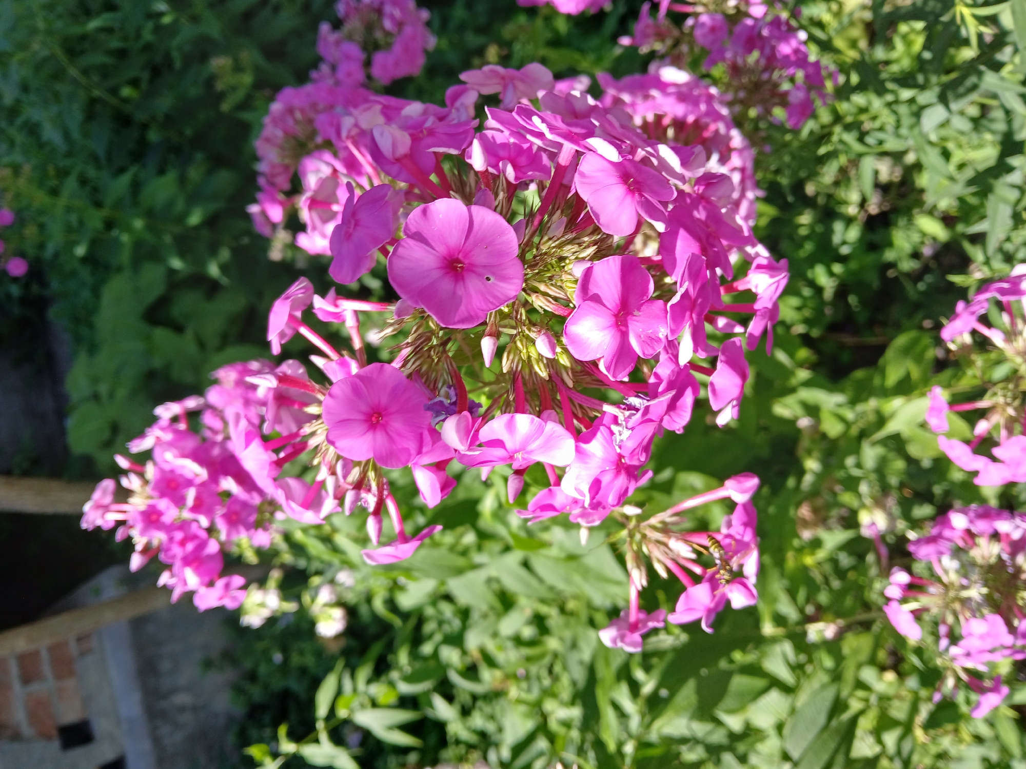 Cherkessk, Russia