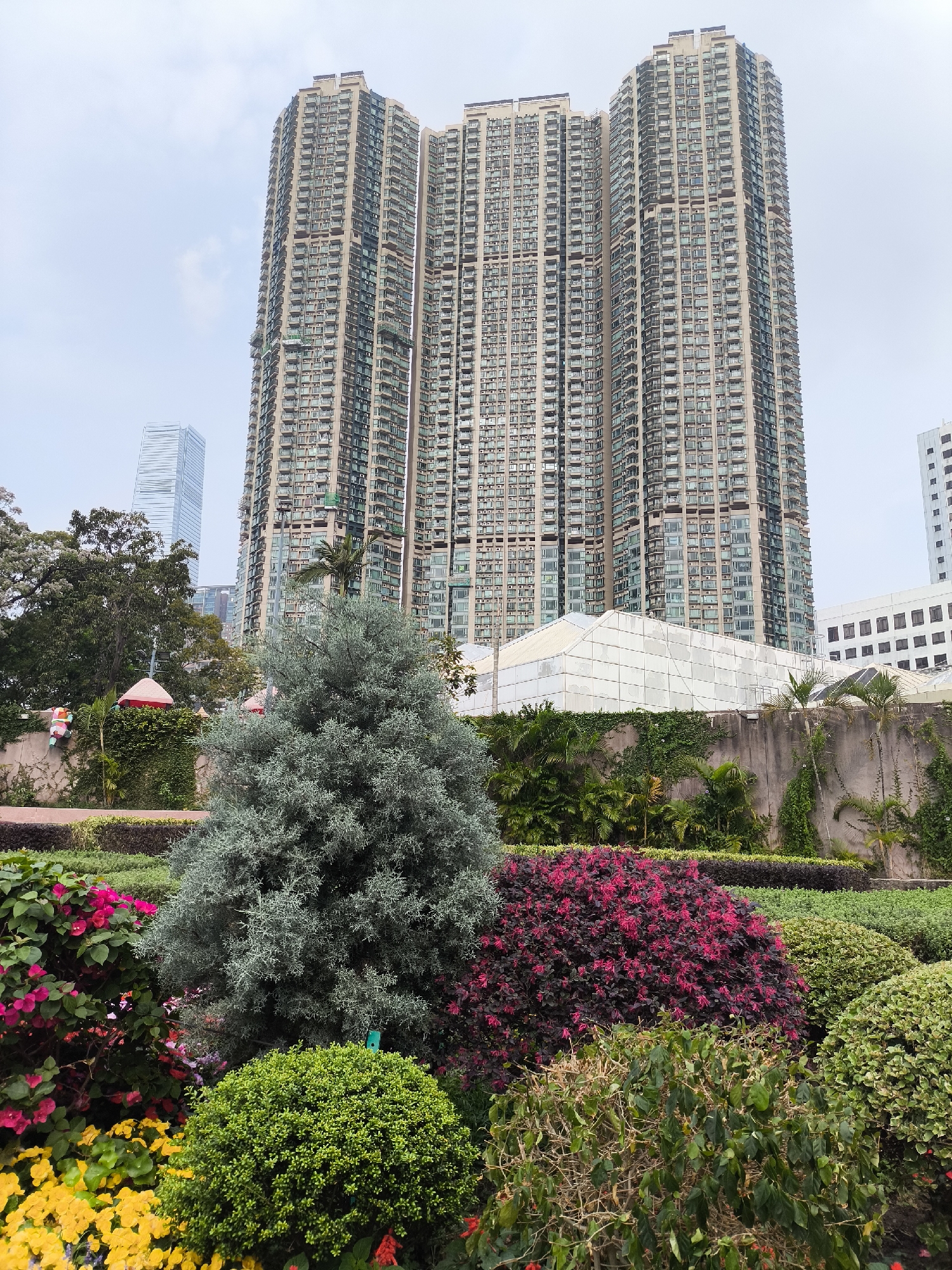 Urban gardens and parks documented across Hong Kong districts