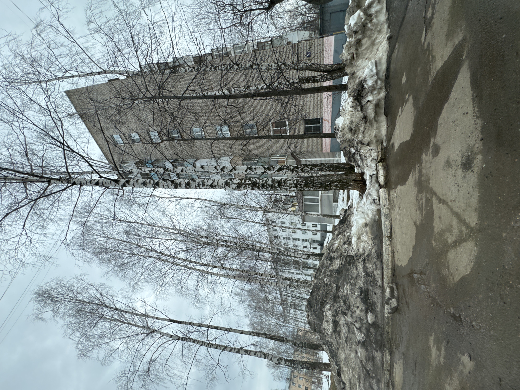Domestic life moments documented across Chaikovsky, Russia afternoon