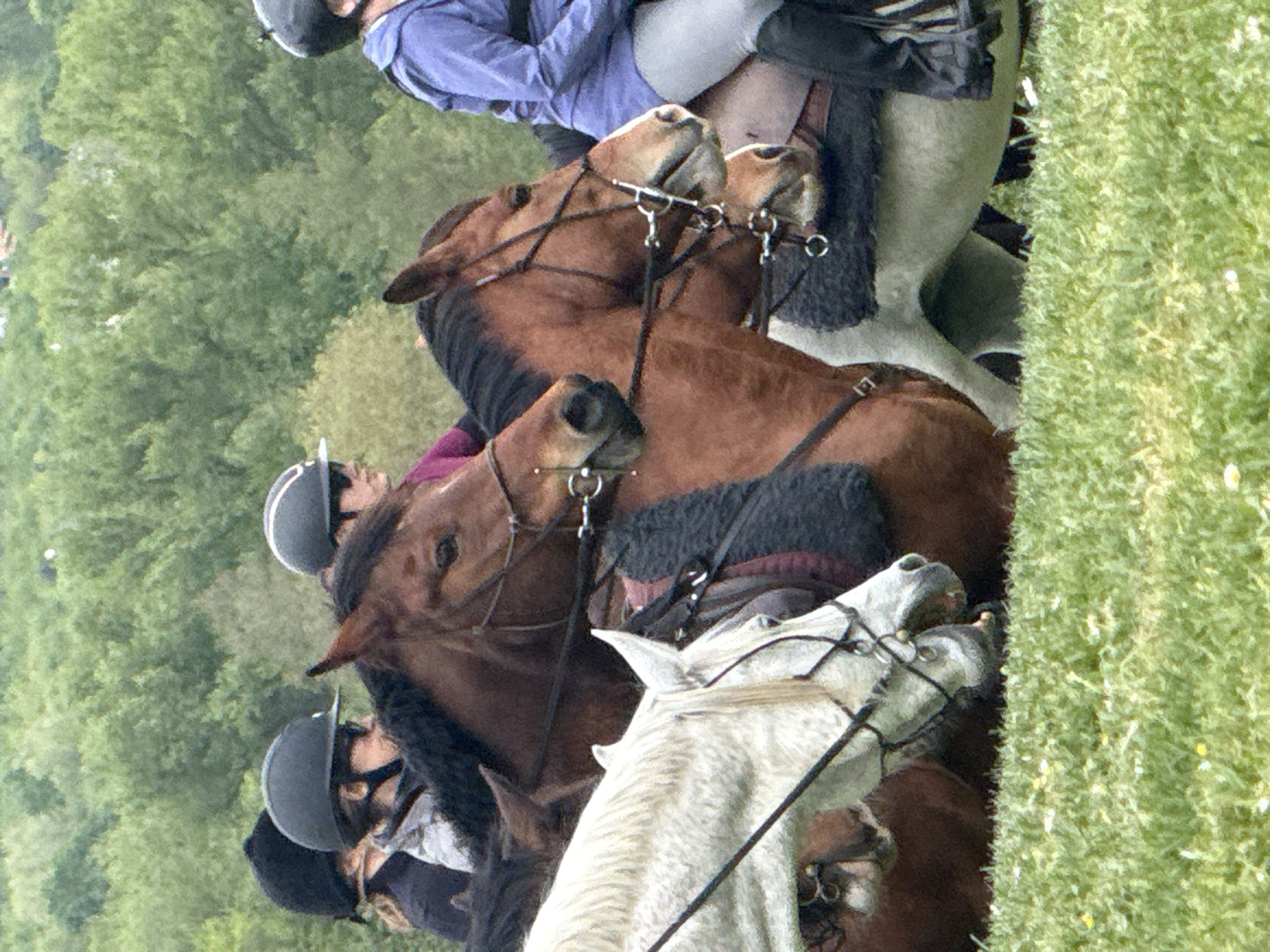 Equestrian competition documented at Château de Saumur, France