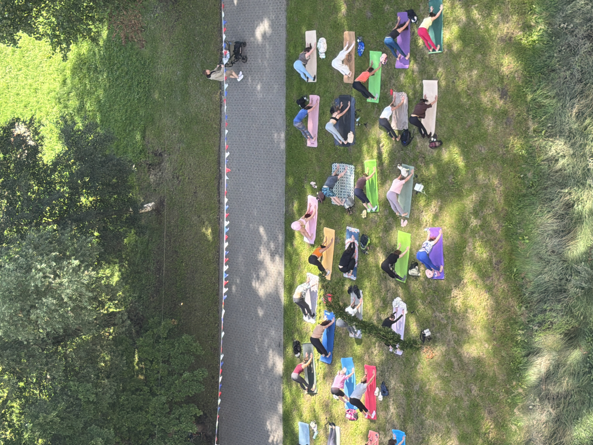 Outdoor yoga class in a sunny Kaliningrad park