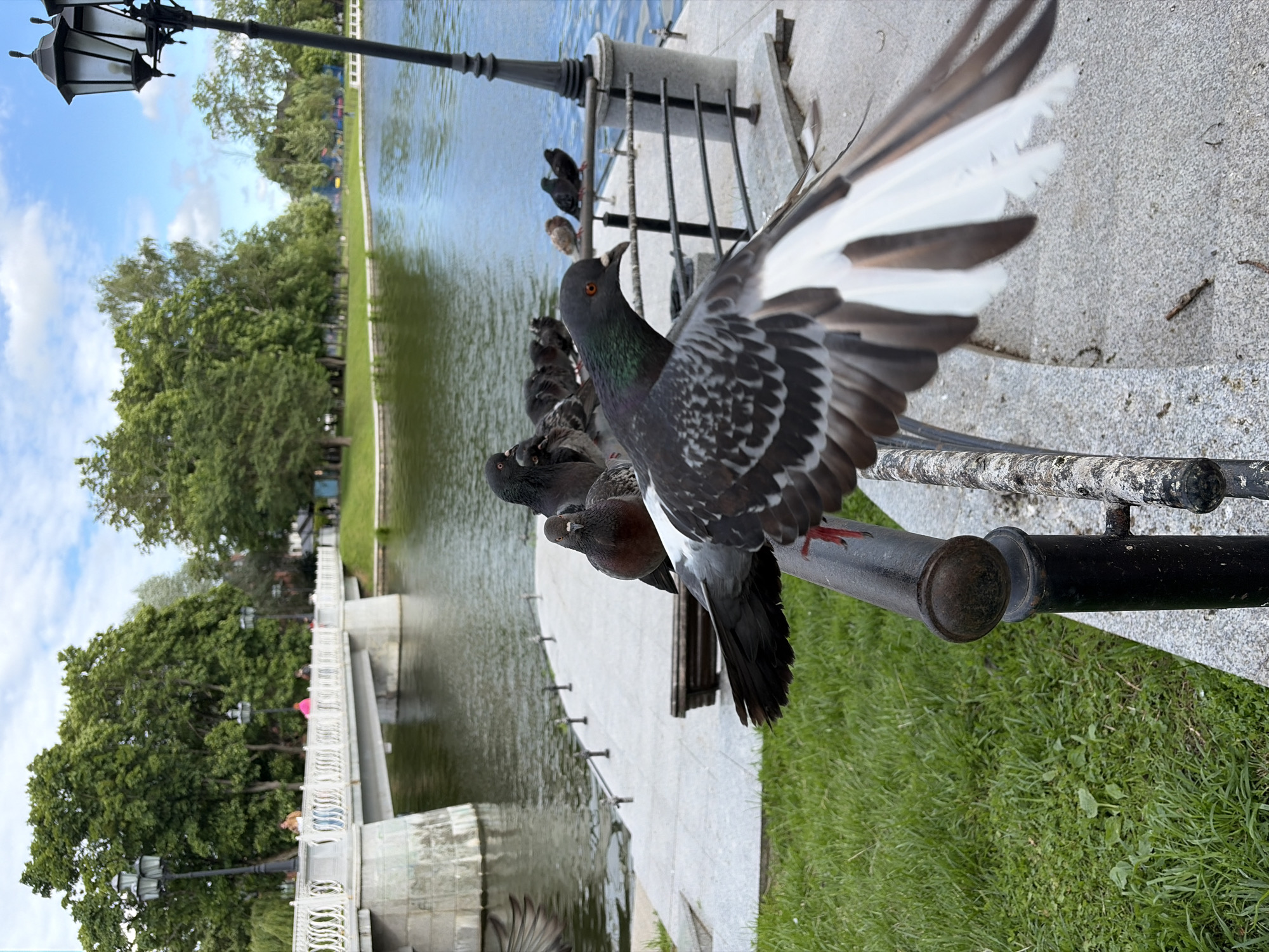 Street-level snapshots from Kaliningrad on a June afternoon