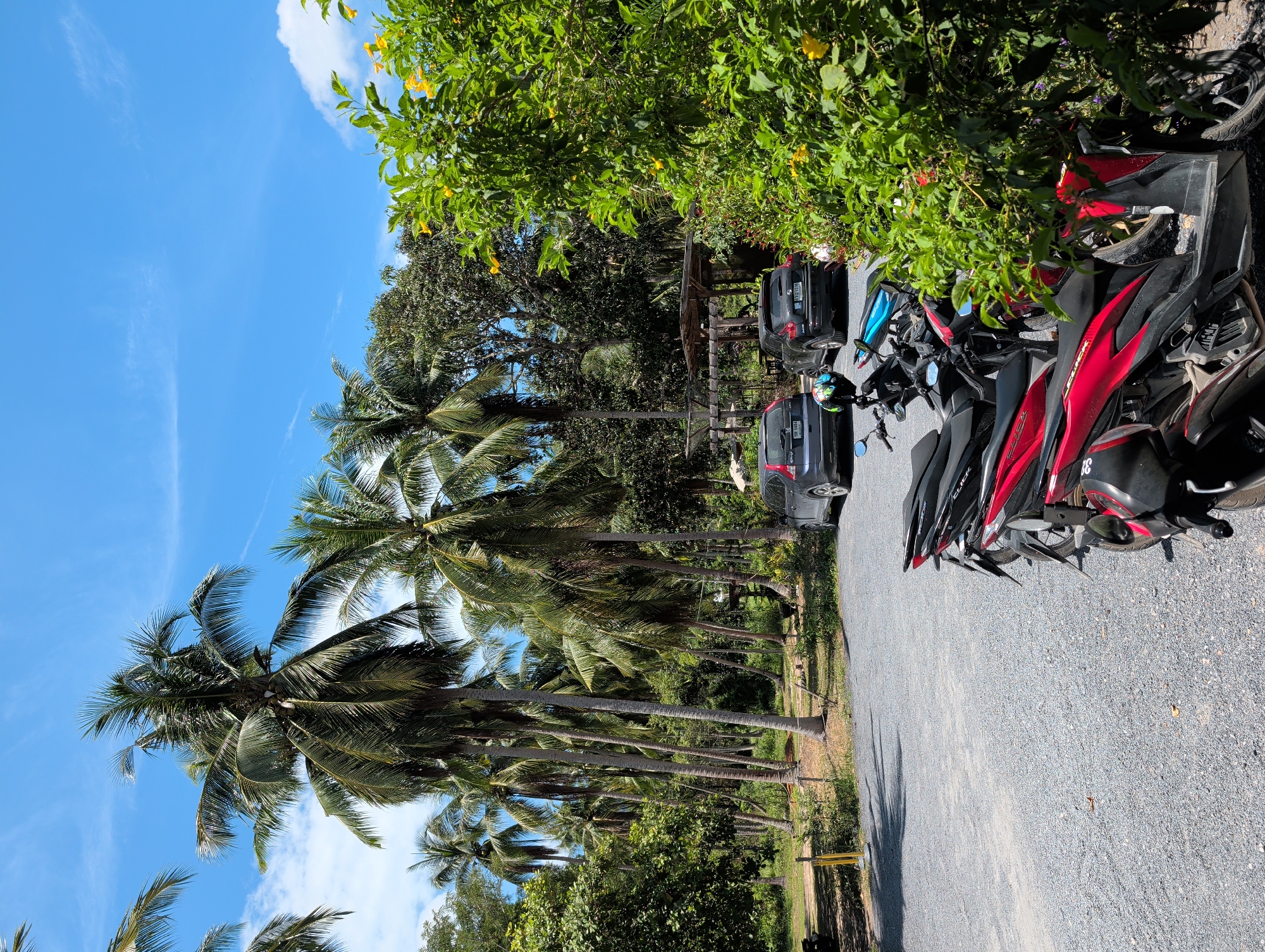 Morning street life captured in Koh Phangan, Thailand