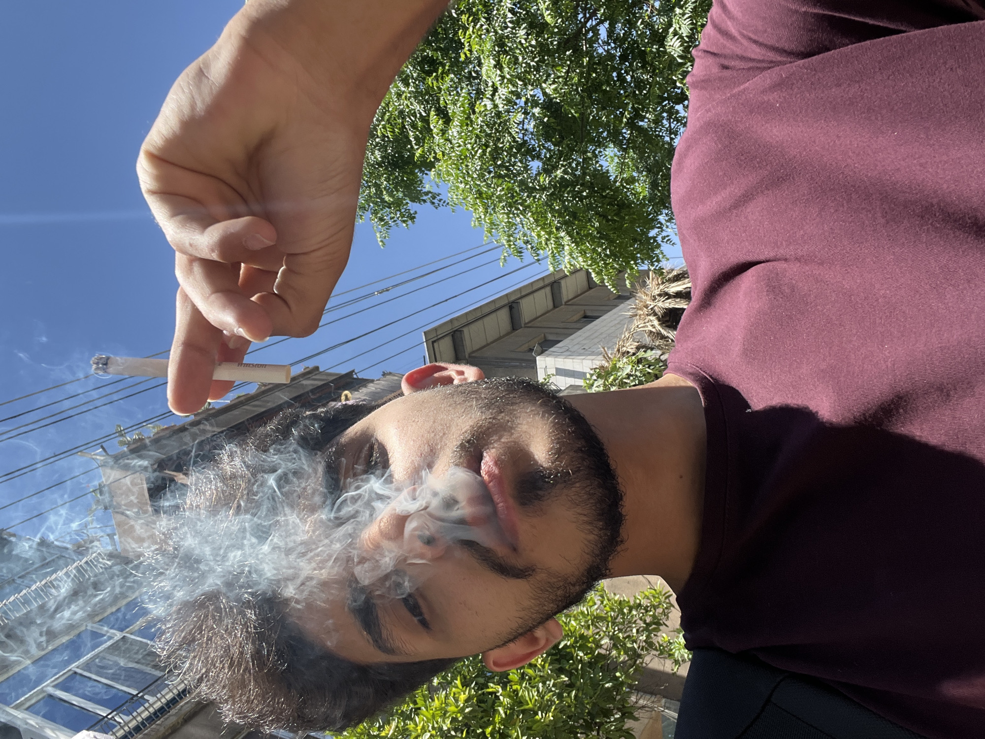 Everyday Damascus street life documented across two Syrian municipalities