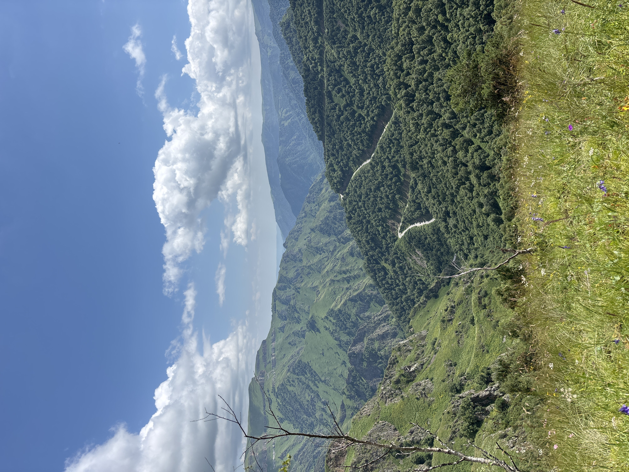 Winding road through a wildflower meadow in the Caucasus mountains