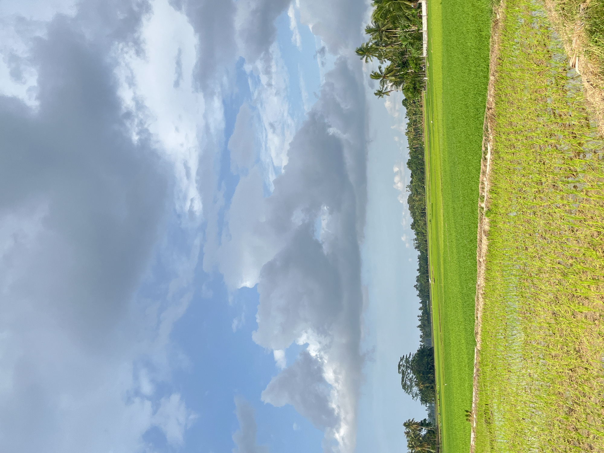 Beuringen, Indonesia