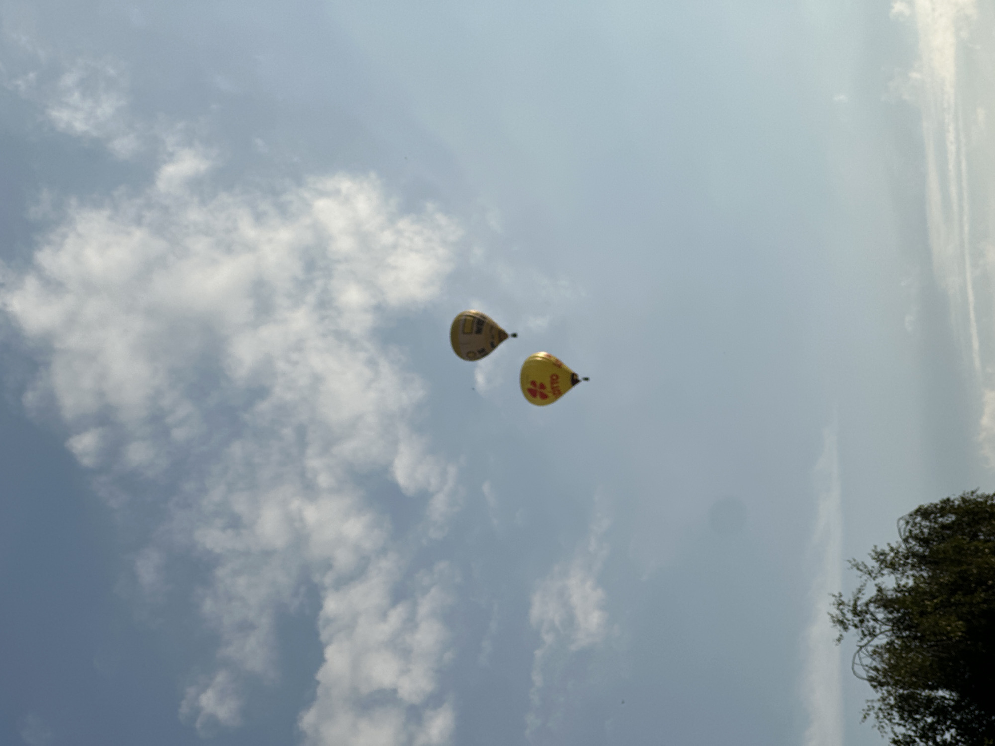 Hot air balloons fill the skies over Kiel, Germany