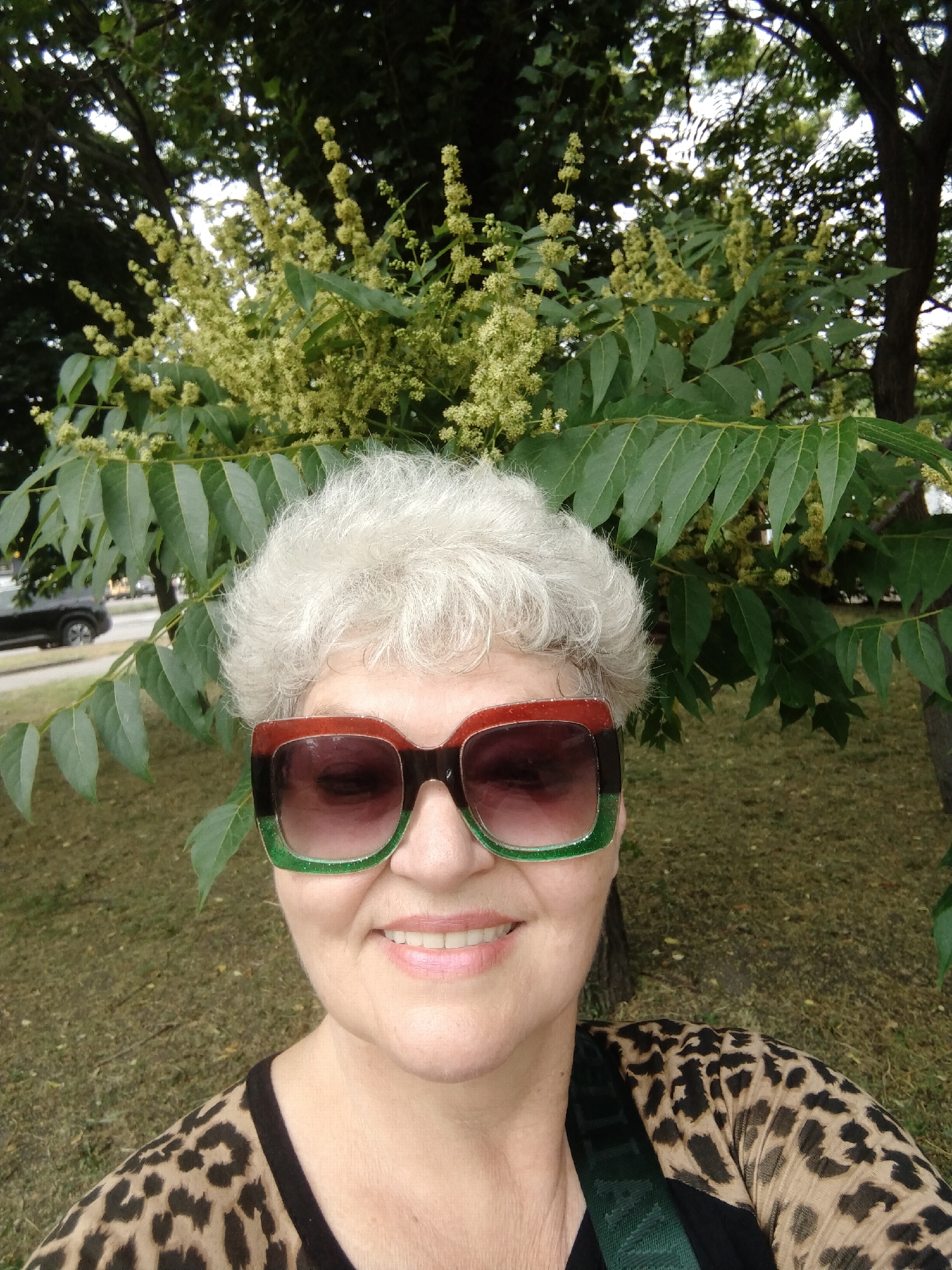 Morning dog walk documented in Ukrainian park with selfies